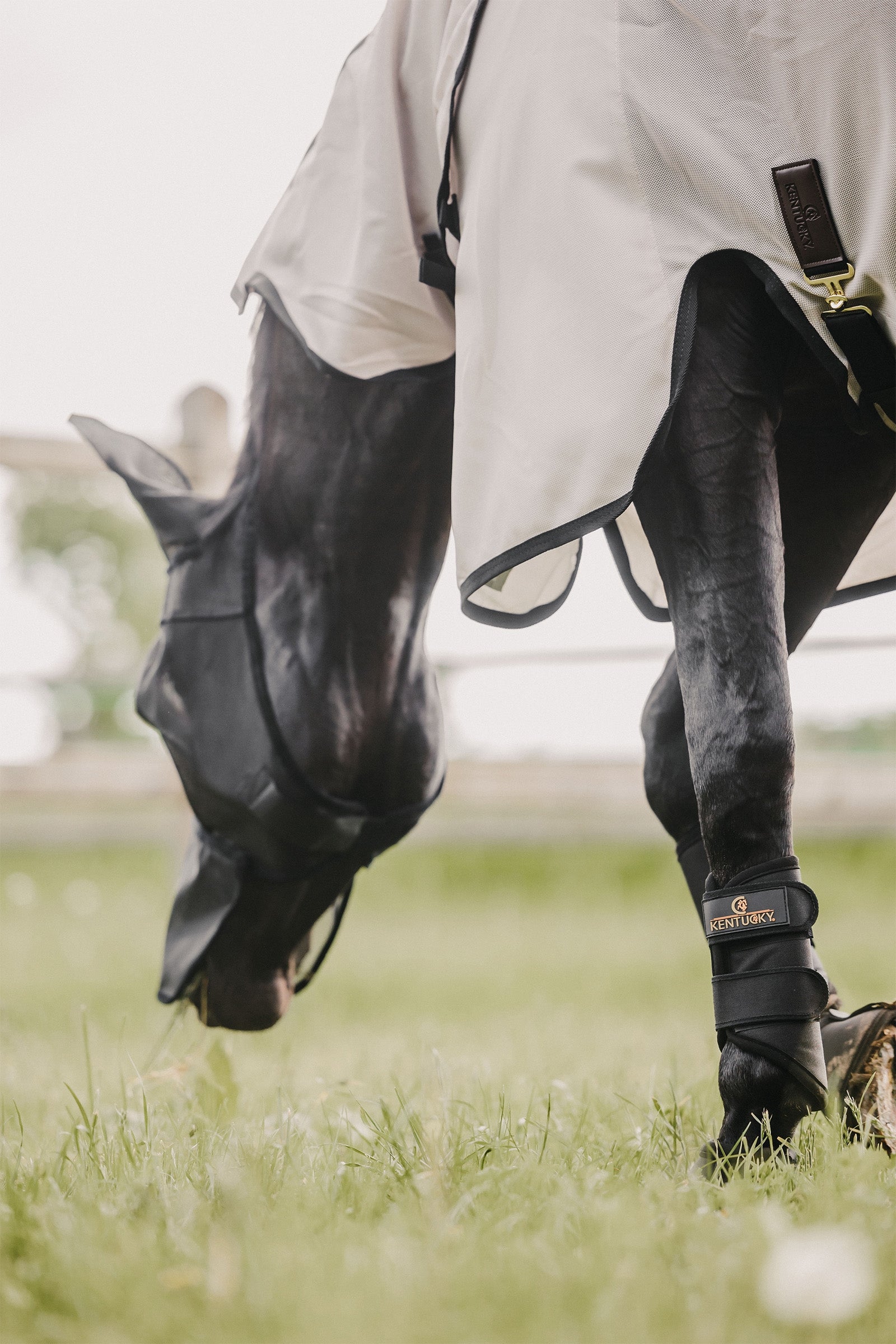 Kentucky Horsewear Fly Mask Classic with Ears and Nose Antifly Protection for Horses