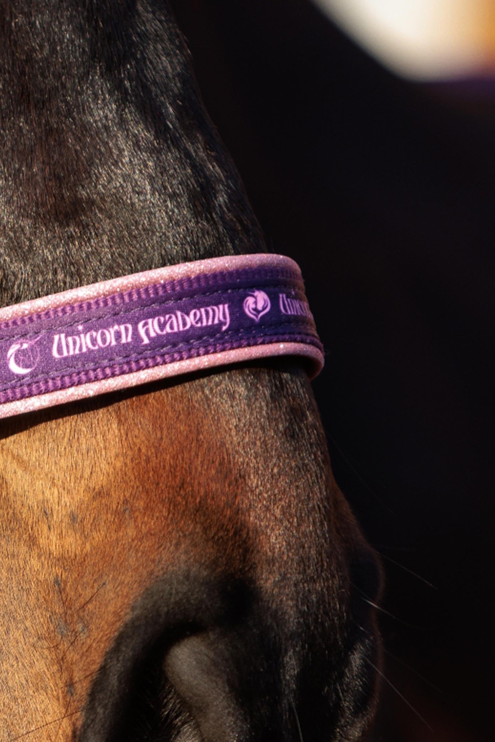Kavalkade Unicorn Academy Halter With Glitter Halters & Leads
