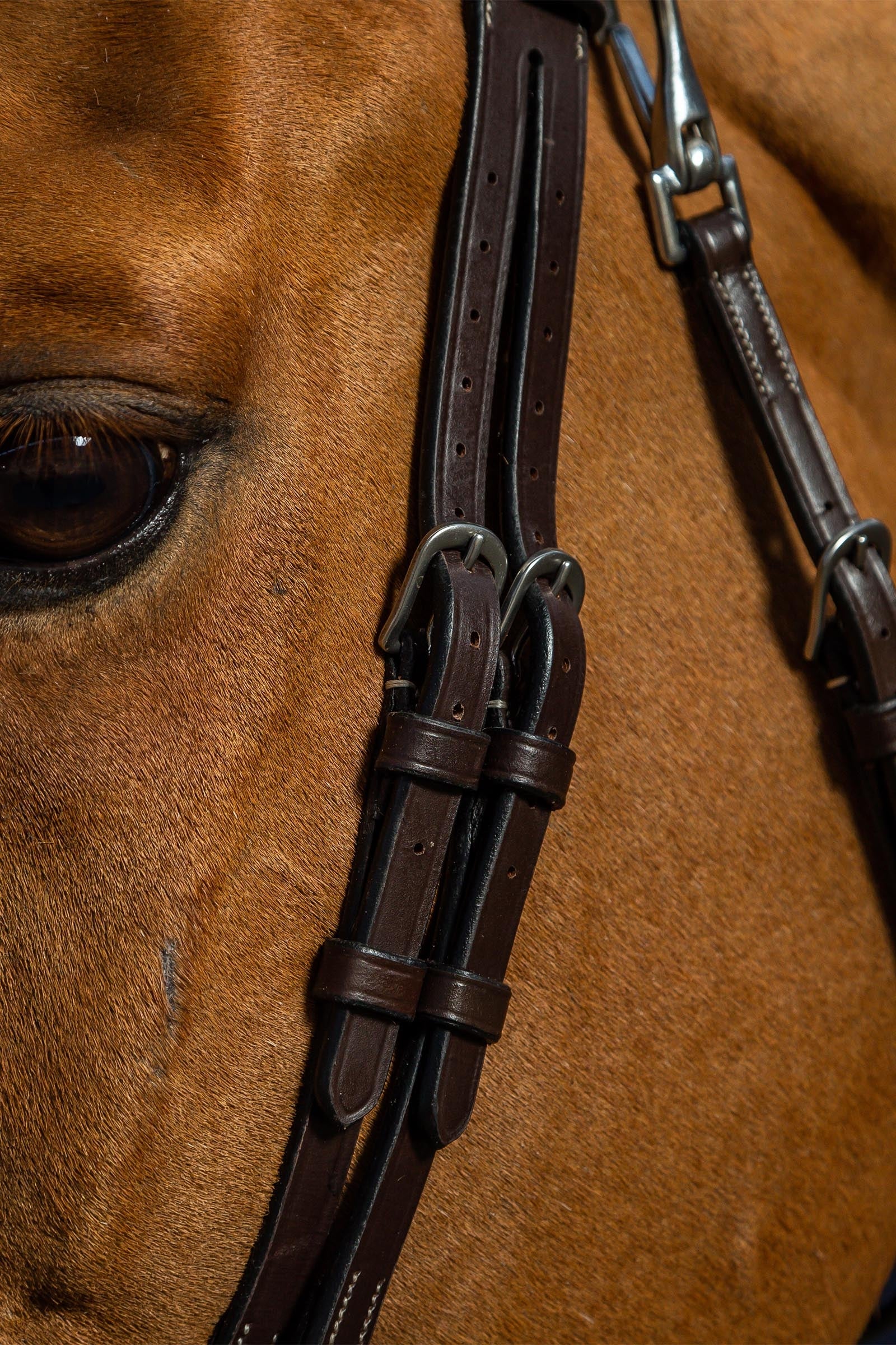 Dy'on Working Flat Leather Bridle With Snap Hooks Bridles & Reins