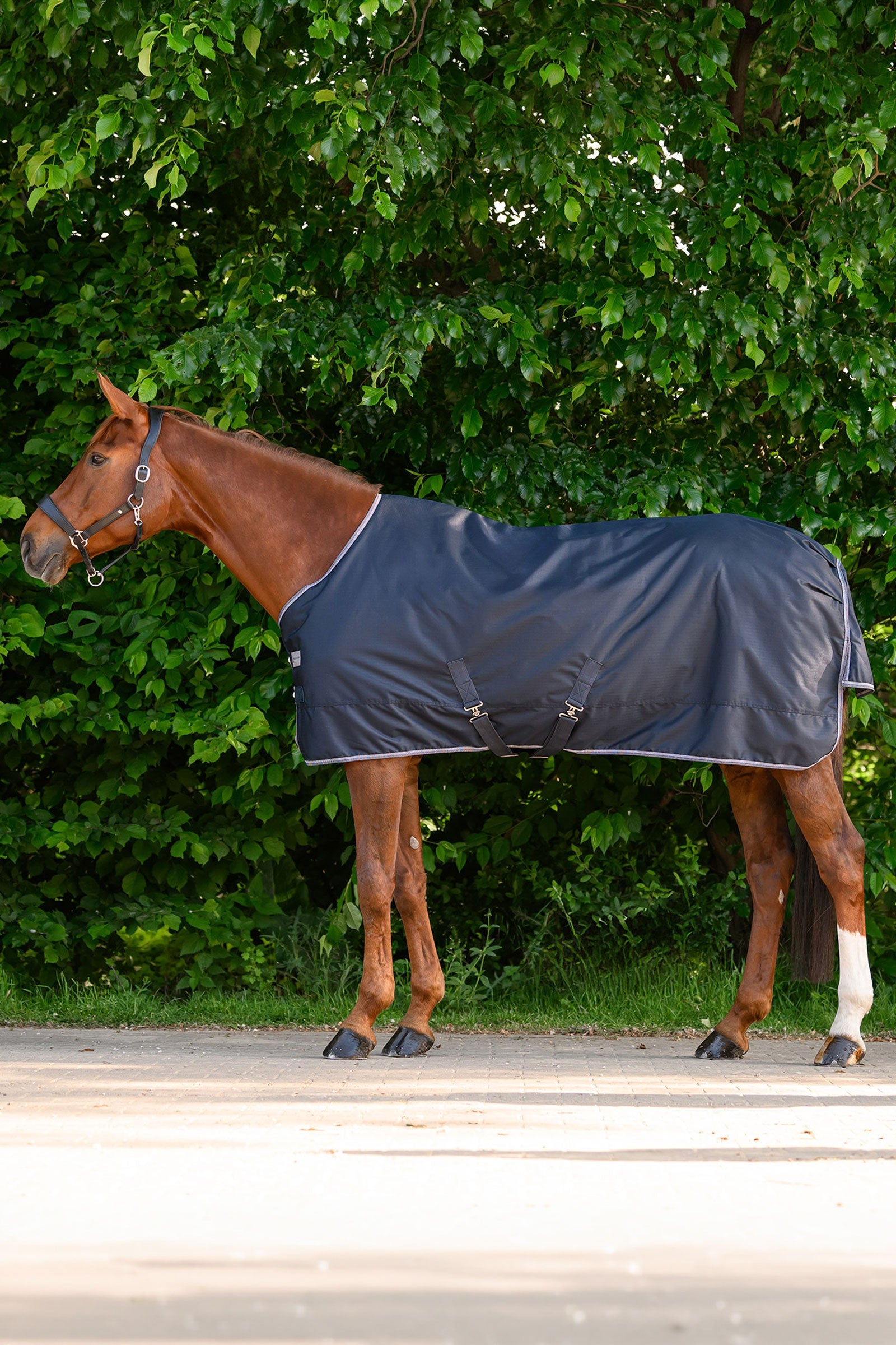 Waldhausen ECONOMIC manta exterior, 100g Mantas Caballo