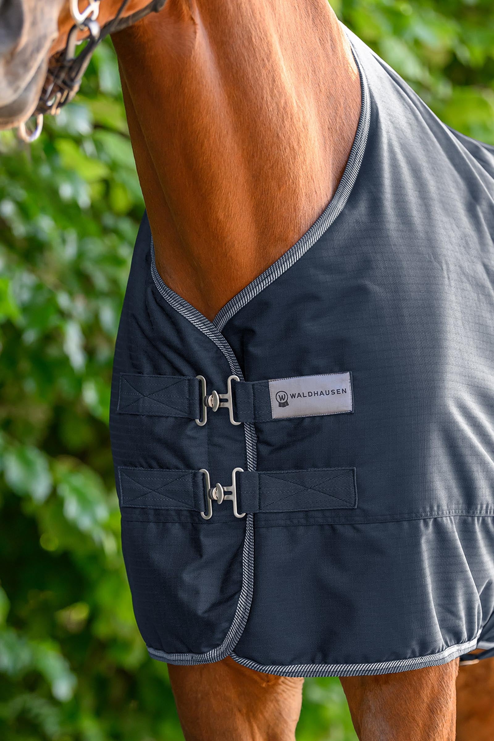 Waldhausen ECONOMIC Outdoor Rug, 100g Horse Rugs