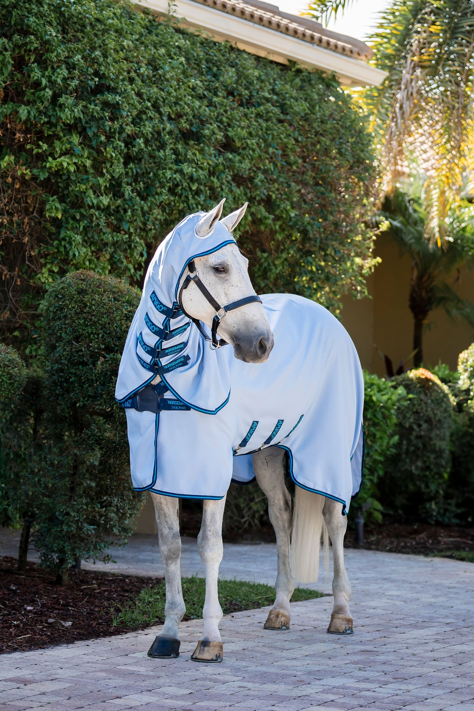Horseware Amigo Ripstop Manta Anti-moscas Mantas Caballo