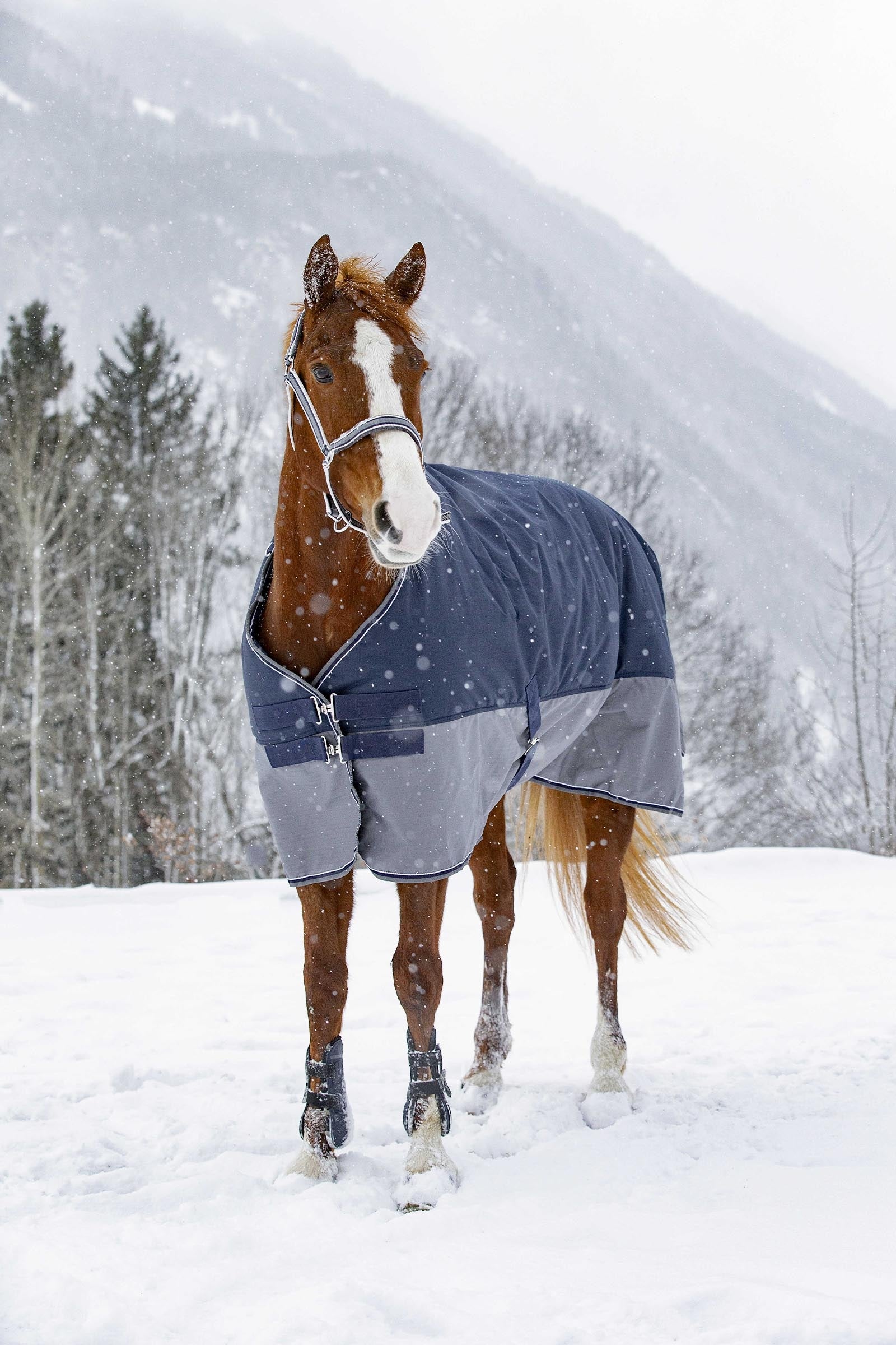 Equi Theme EQUITHÈME TYREX 600D Turnout Rug, 300 g Horse Rugs