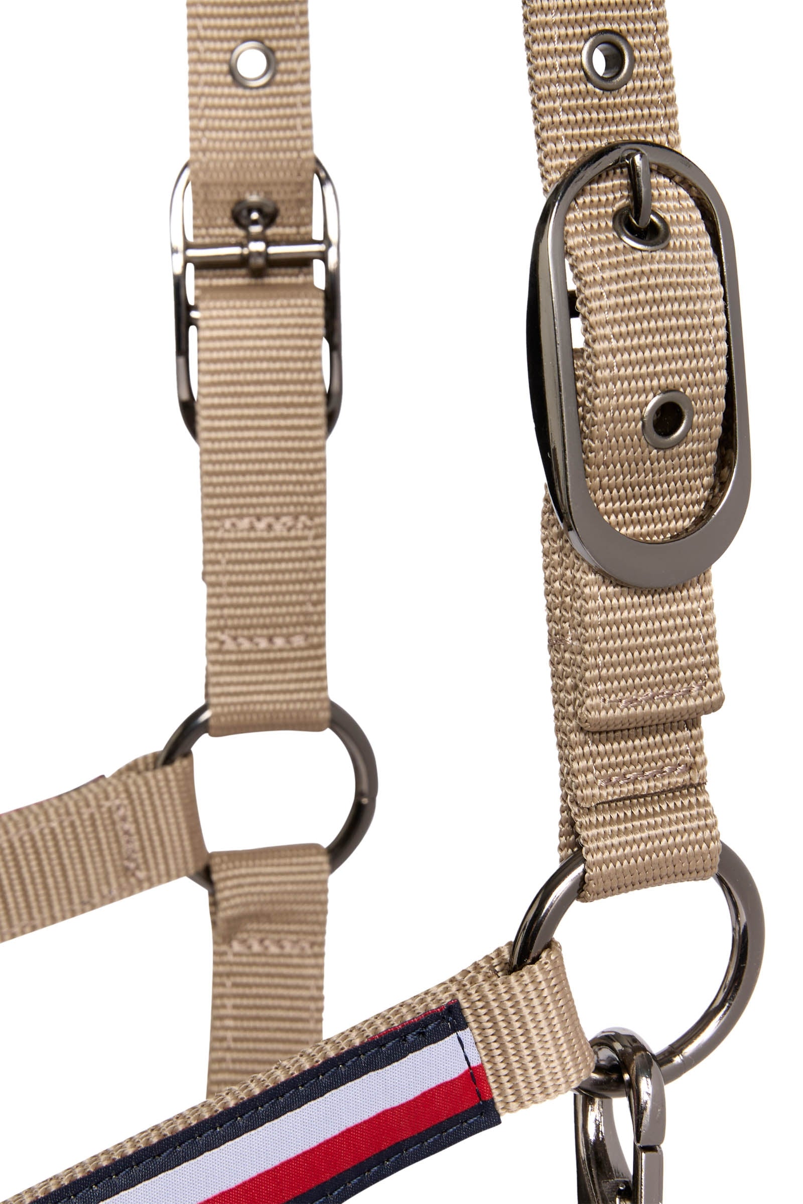 Tommy Hilfiger Equestrian Lincoln Halter Halters & Leads