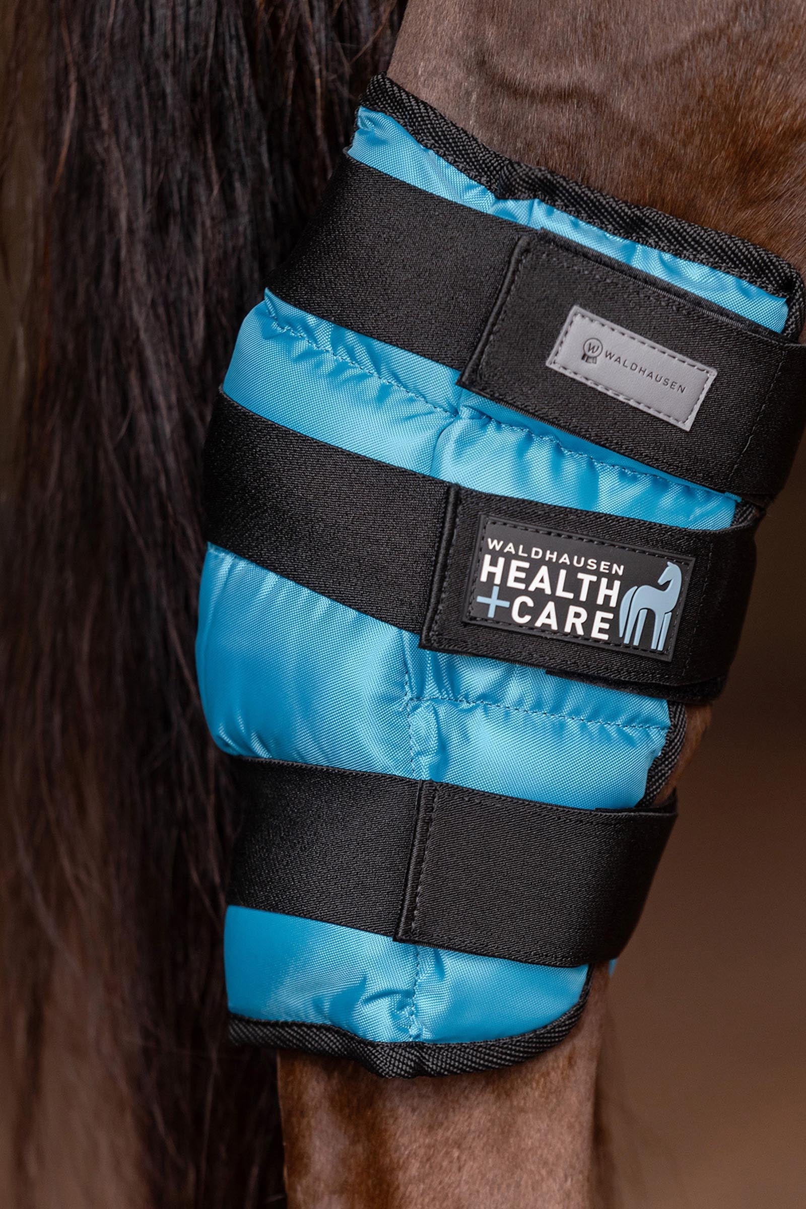 Waldhausen Health & Care Protector para la articulación del tobillo de gel frío, unidad Leg Protection & Hoof Protection for Horses