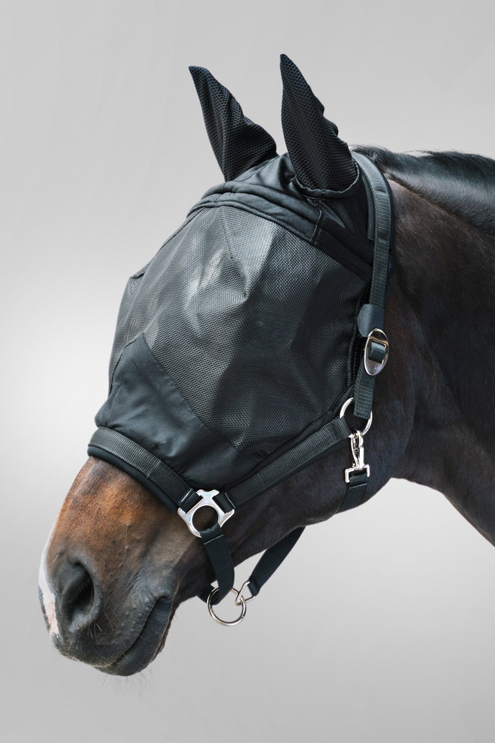 Waldhausen máscara antimoscas Premium con cabezada, protección UV Protección Antimoscas para Caballos