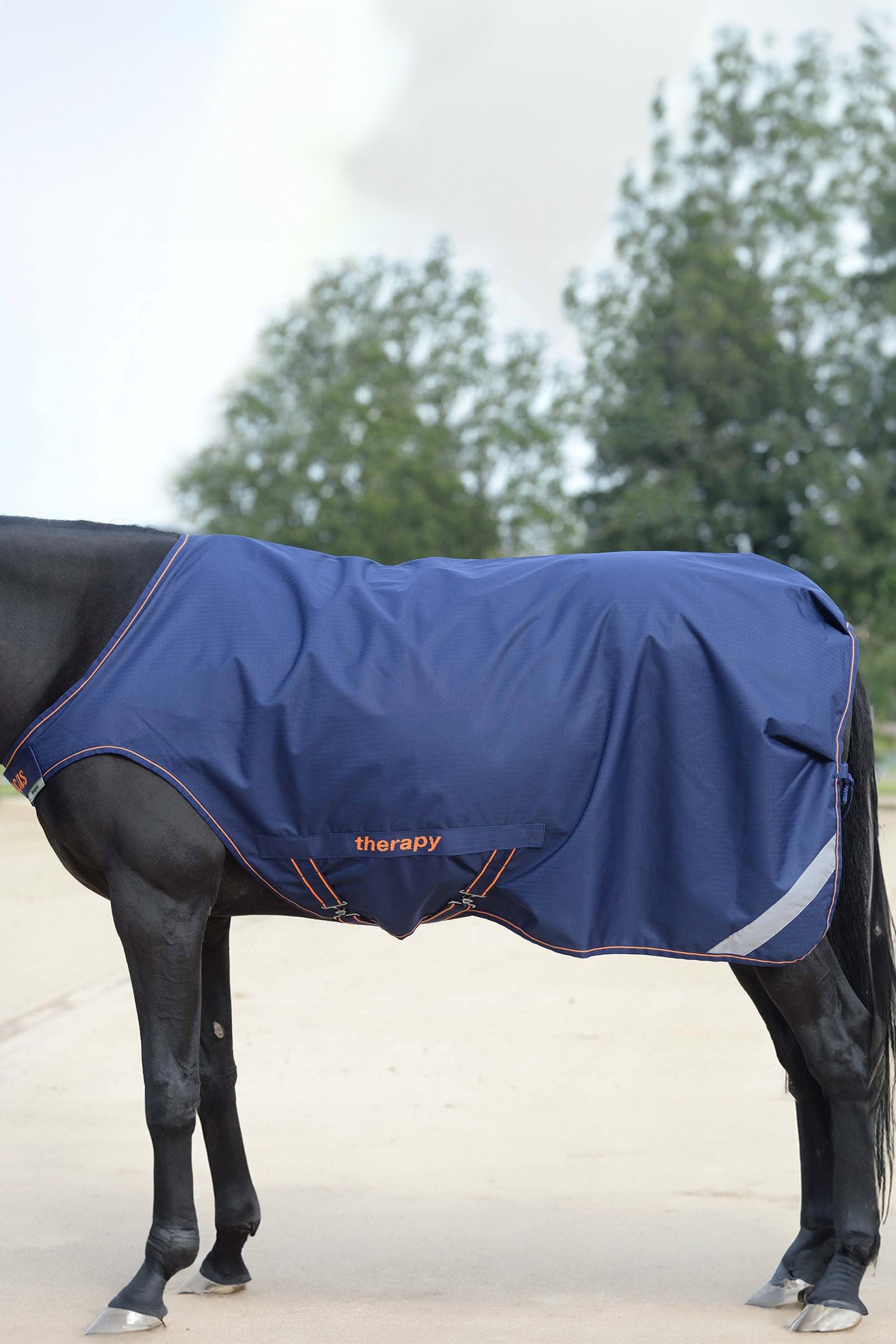 Bucas Therapy Walker Rug Horse Rugs