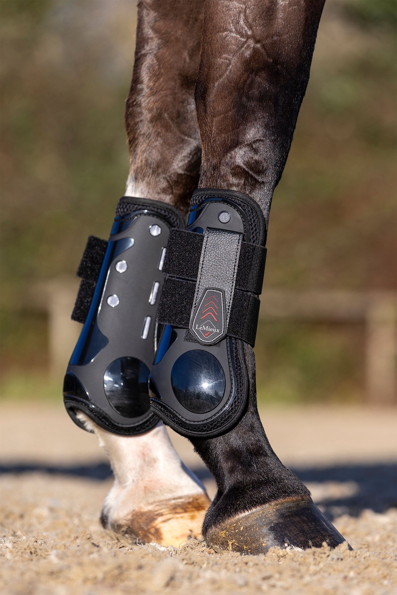 LeMieux Derby ProJump Tendon Boot Leg Protection & Hoof Protection for Horses