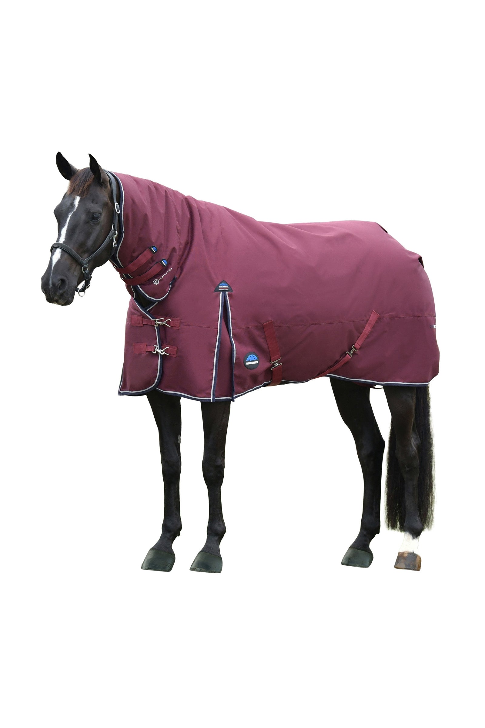 Weatherbeeta Comfitec Essential Turnout Rug With Fixed Neck, 220g Horse Rugs
