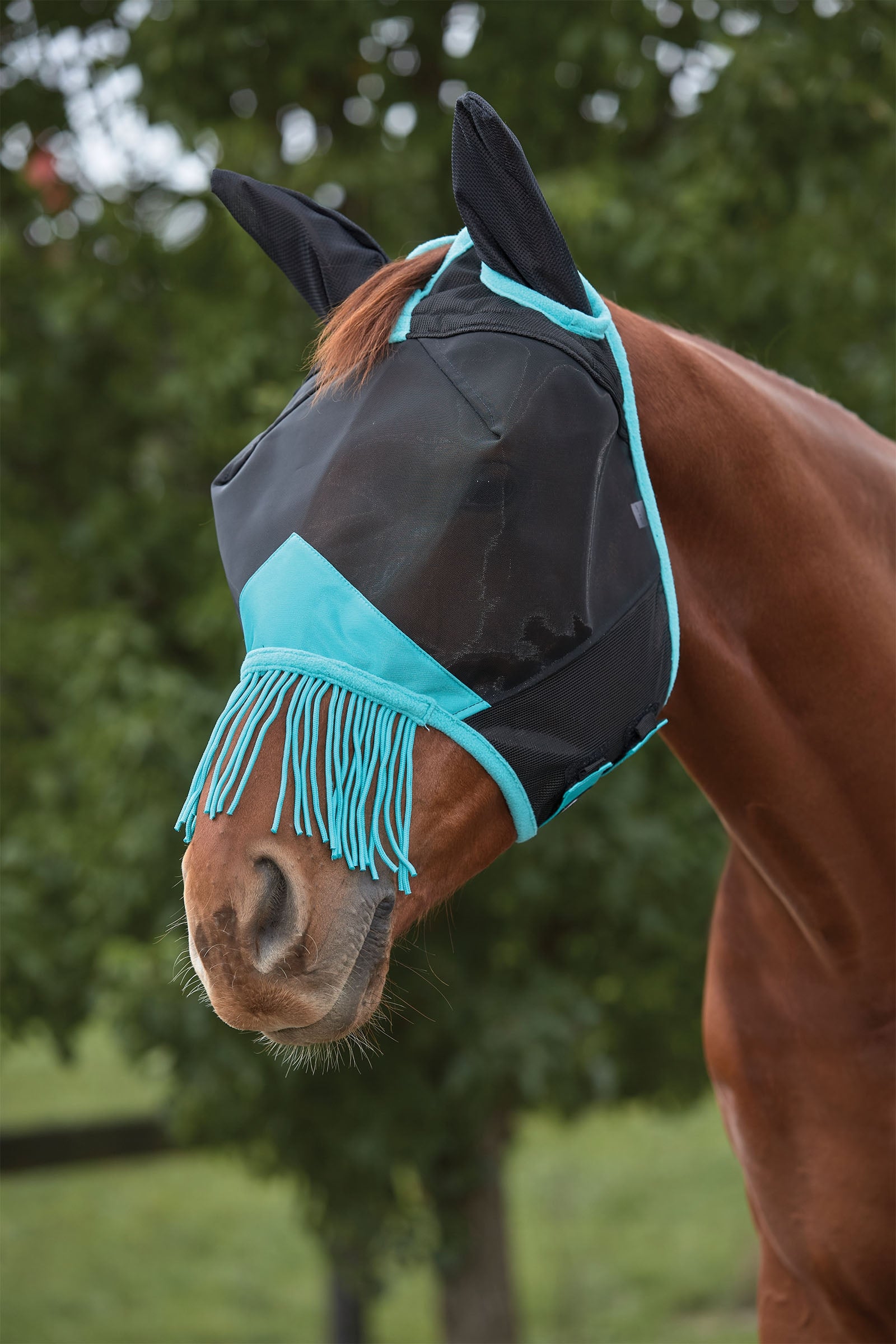 Weatherbeeta Comfitec Deluxe Fine Mesh Mask with Ears & Tassels Antifly Protection for Horses