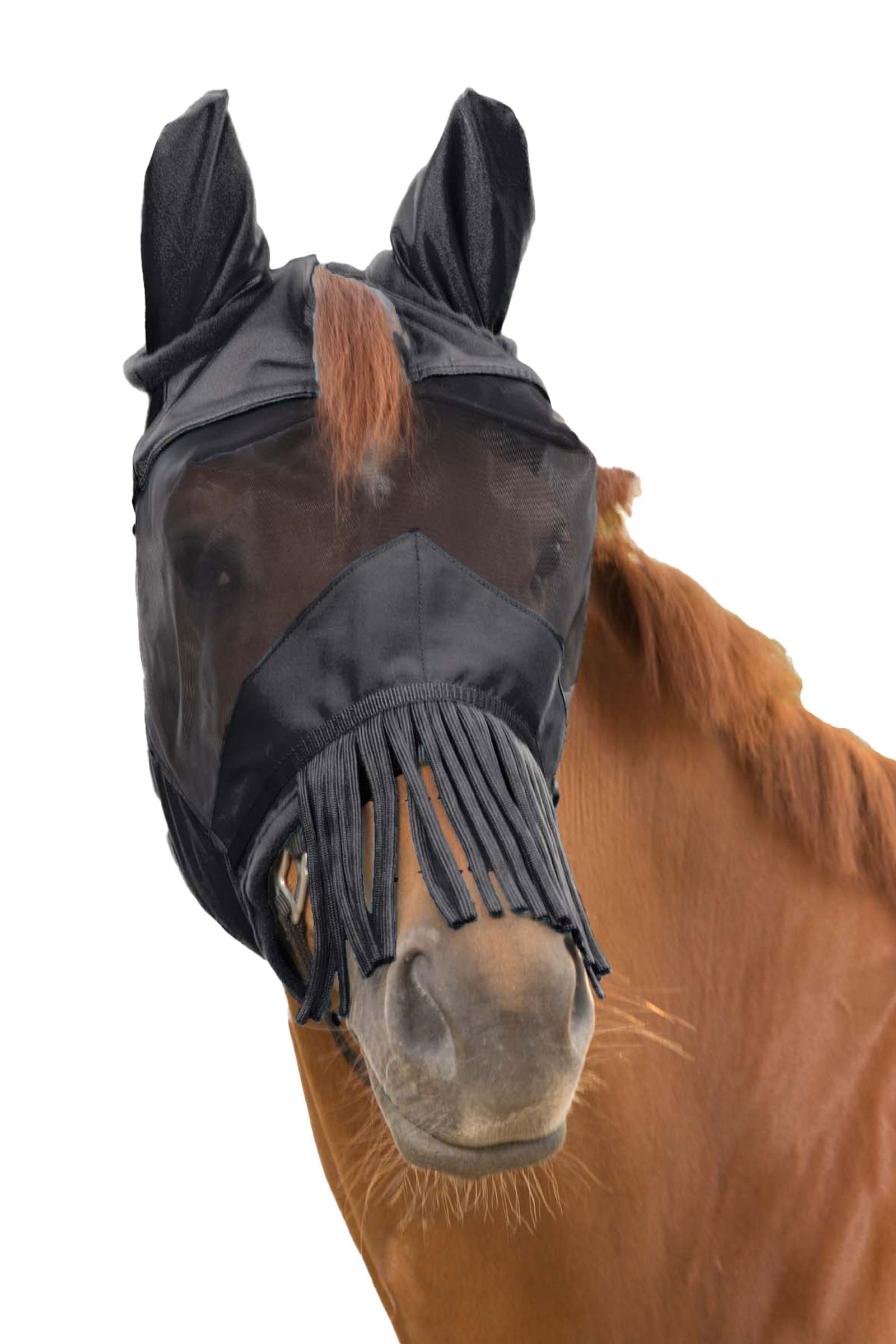 Waldhausen Premium mascarilla antimoscas 3 en 1 Protección Antimoscas para Caballos