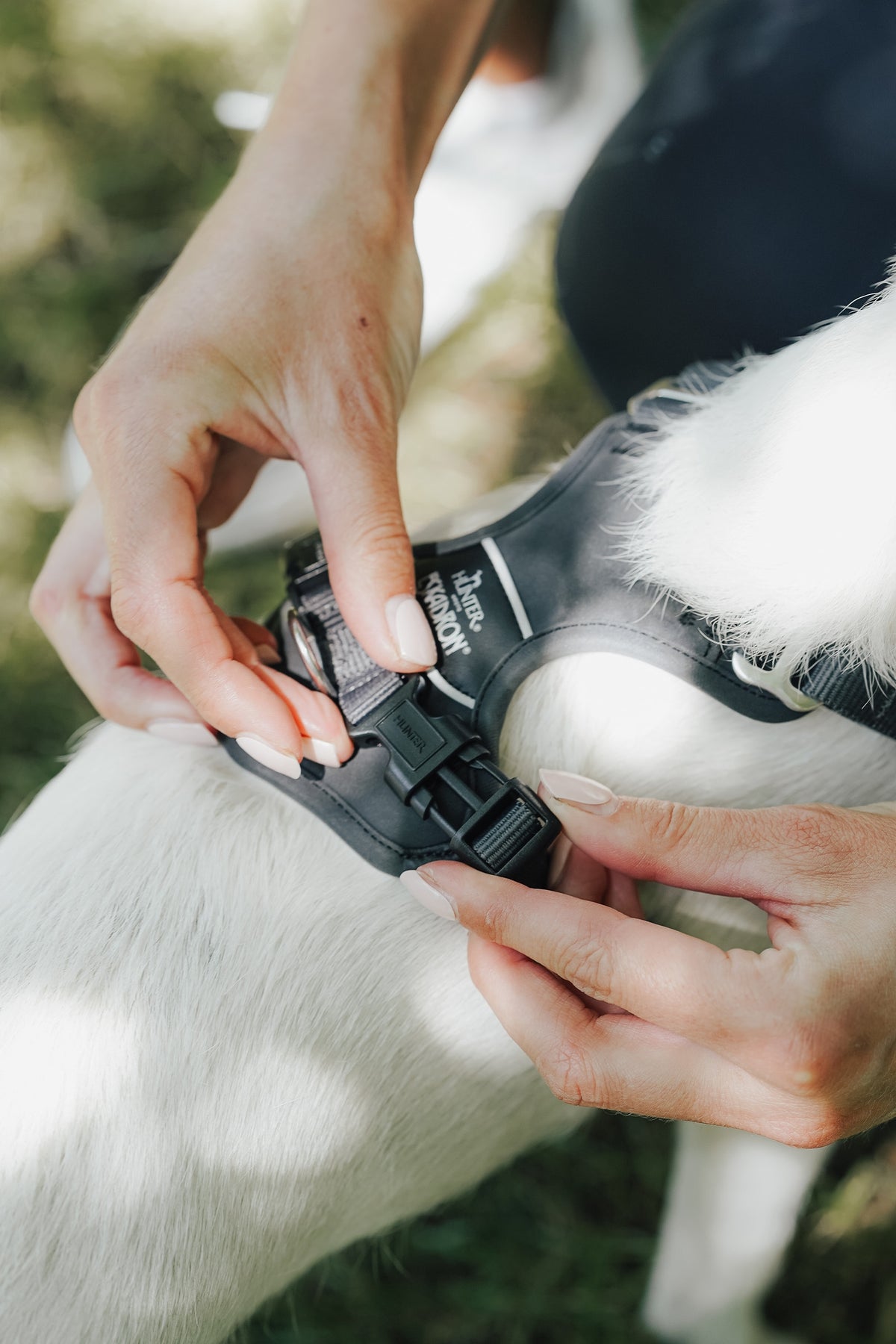 Eskadron Hunter x ESKADRON MOTION REFLECT Dog Harness Dog Accesories