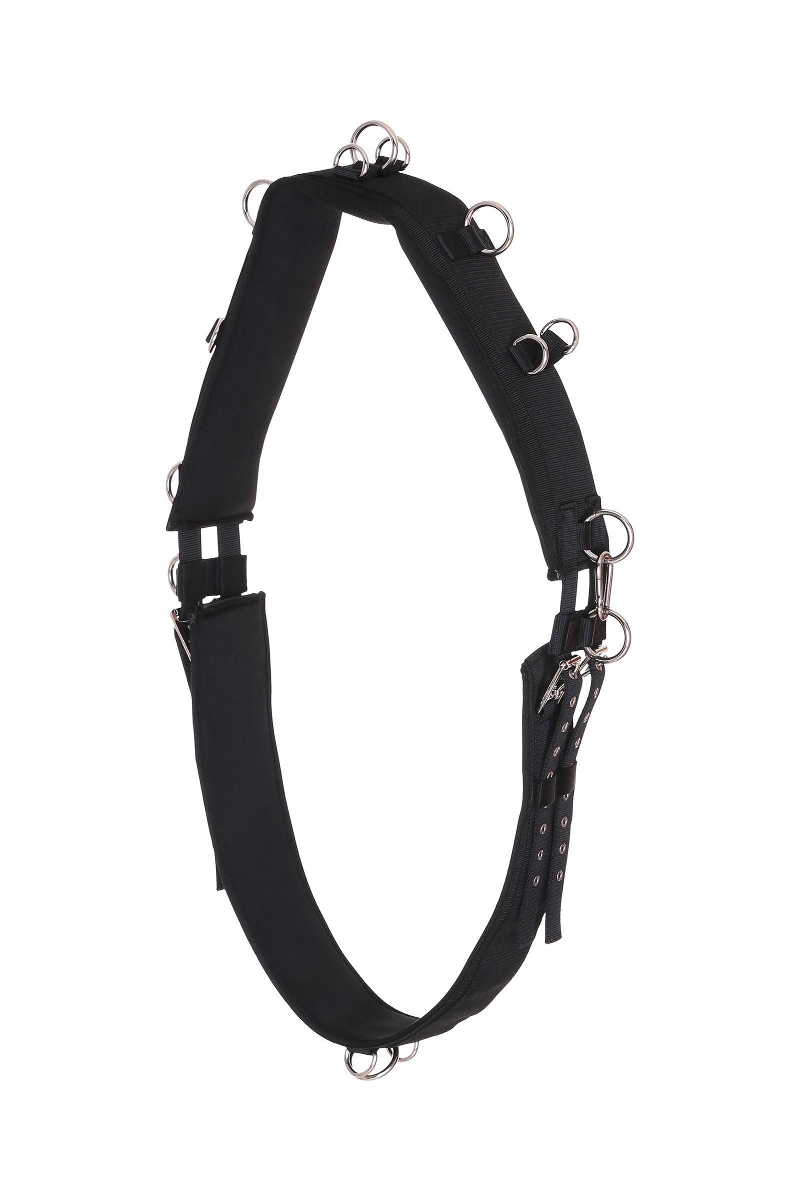 Horse Guard HorseGuard Lunging Girth Saddles, Girths & Stirrups
