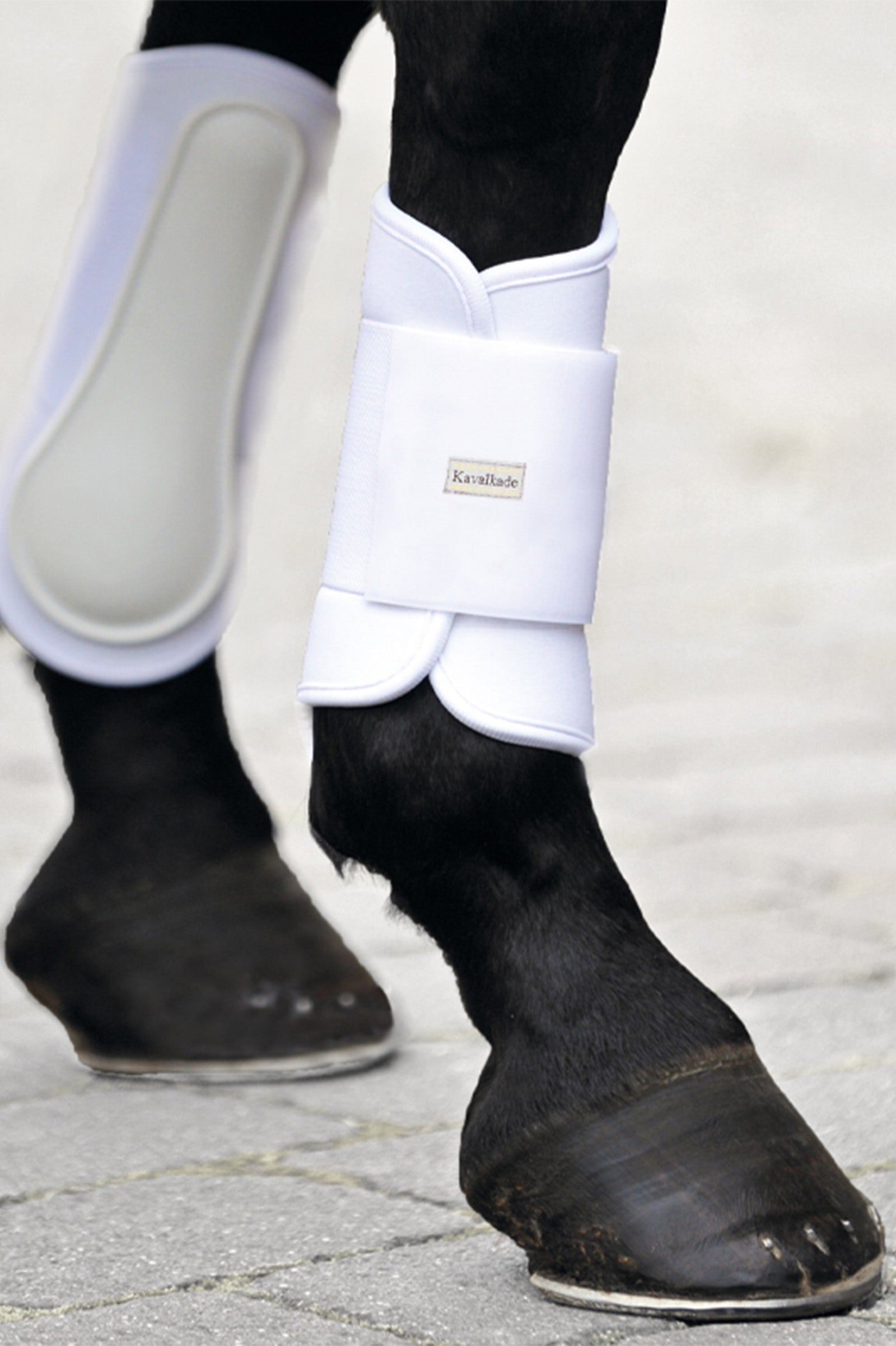 Kavalkade Botas de cepillado KavalPren Softy, parte delantera