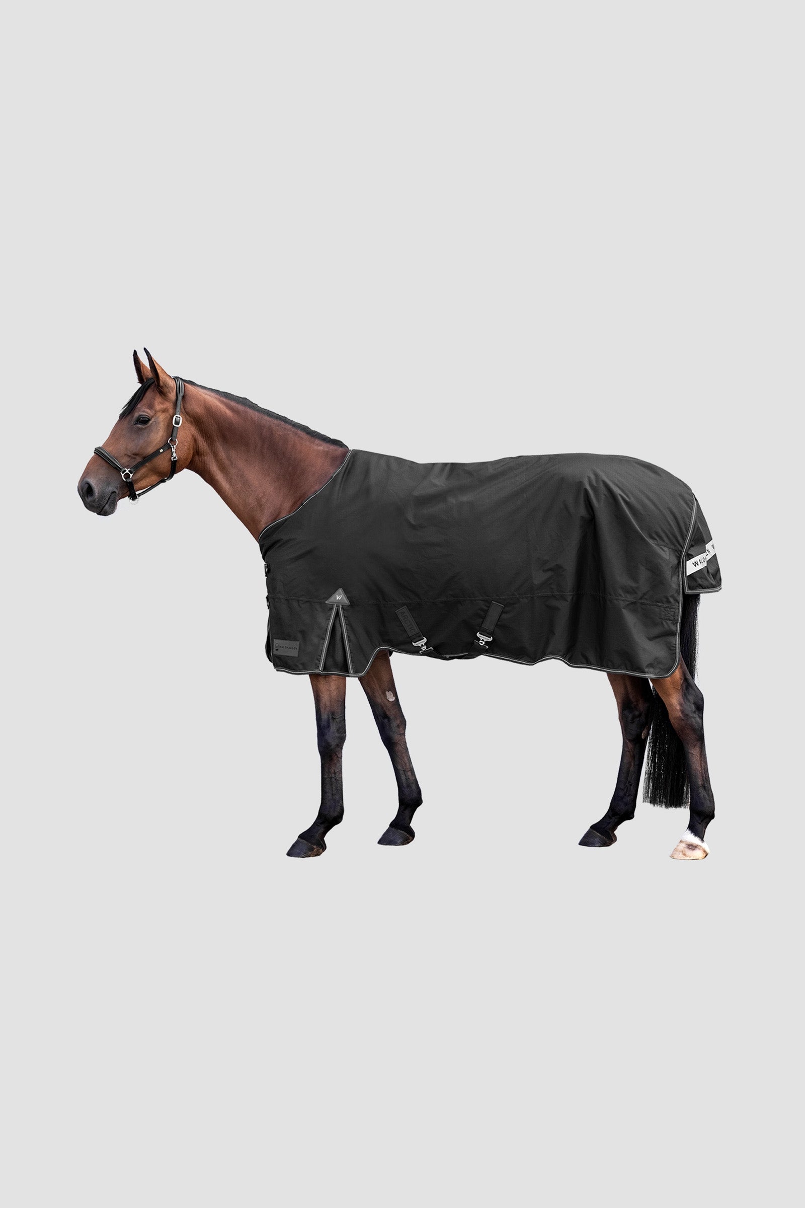Waldhausen Arctic Outdoor Rug, 100 g Mantas Caballo