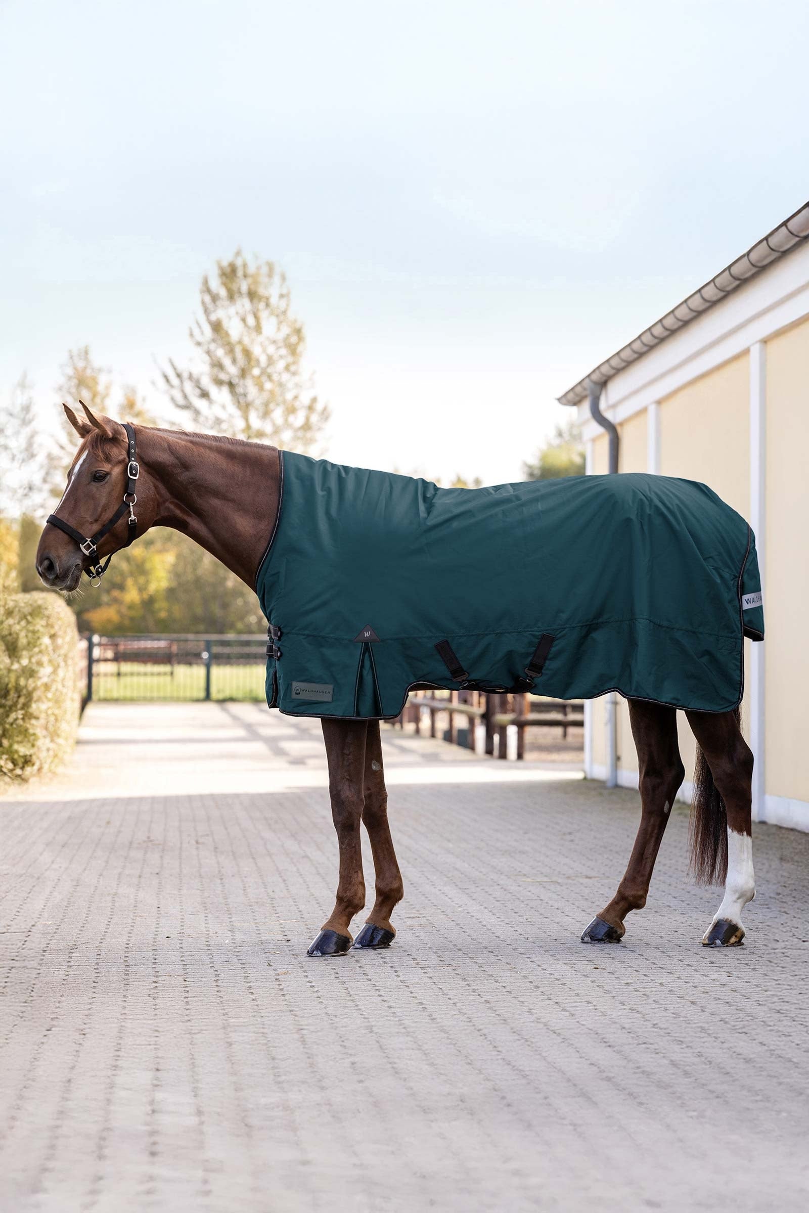 Waldhausen Arctic Outdoor Rug, 100 g Mantas Caballo