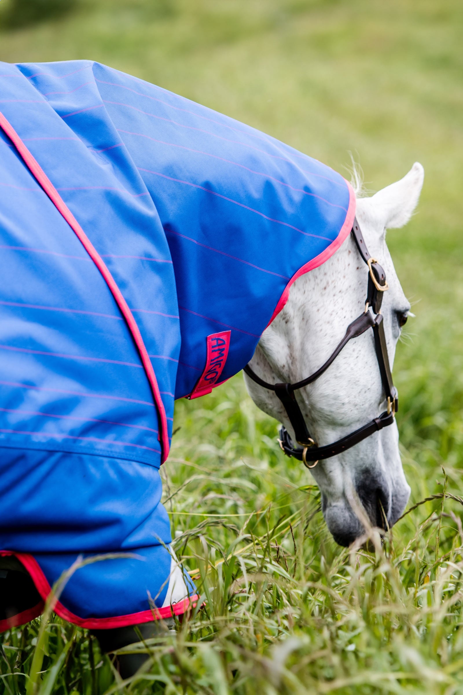Horseware Amigo Bravo 12 Reflectech Plus Turnout Rug With Detachable Neck, 250g Horse Rugs