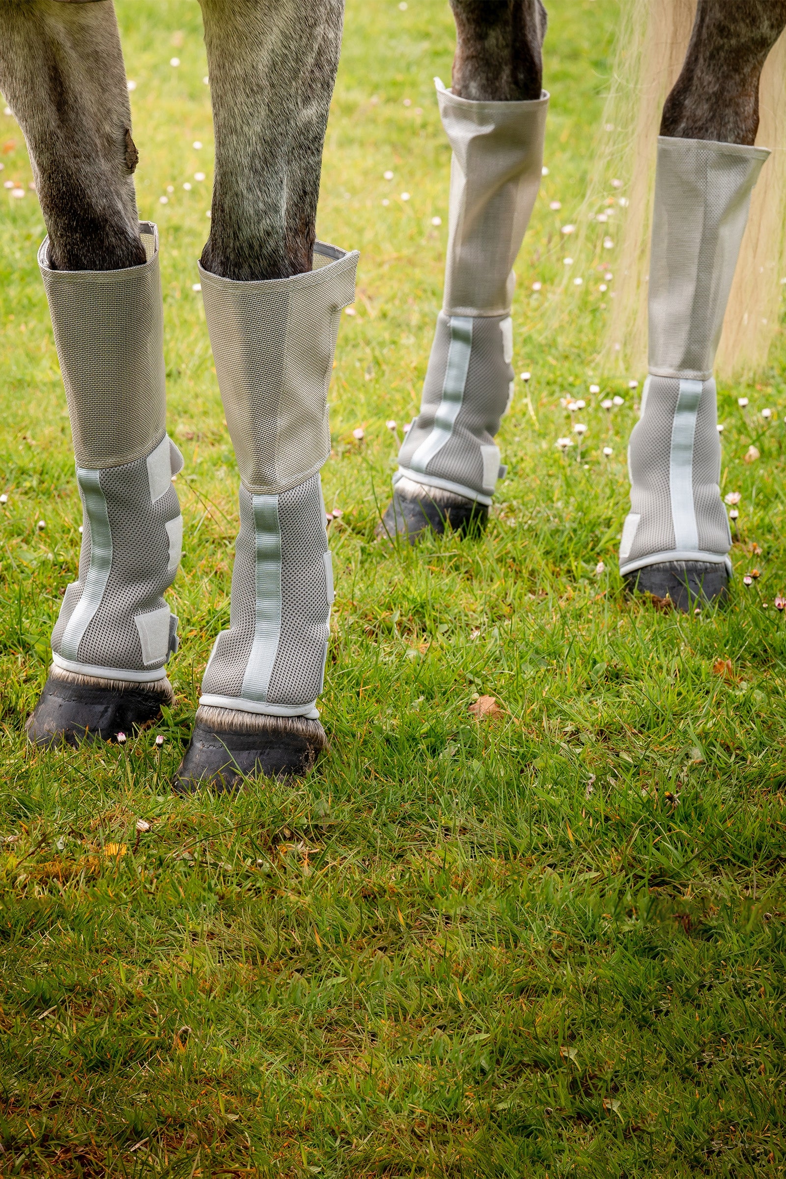 Horseware Rambo Tech-Fit Flyboot (Set of 4) Leg Protection & Hoof Protection for Horses