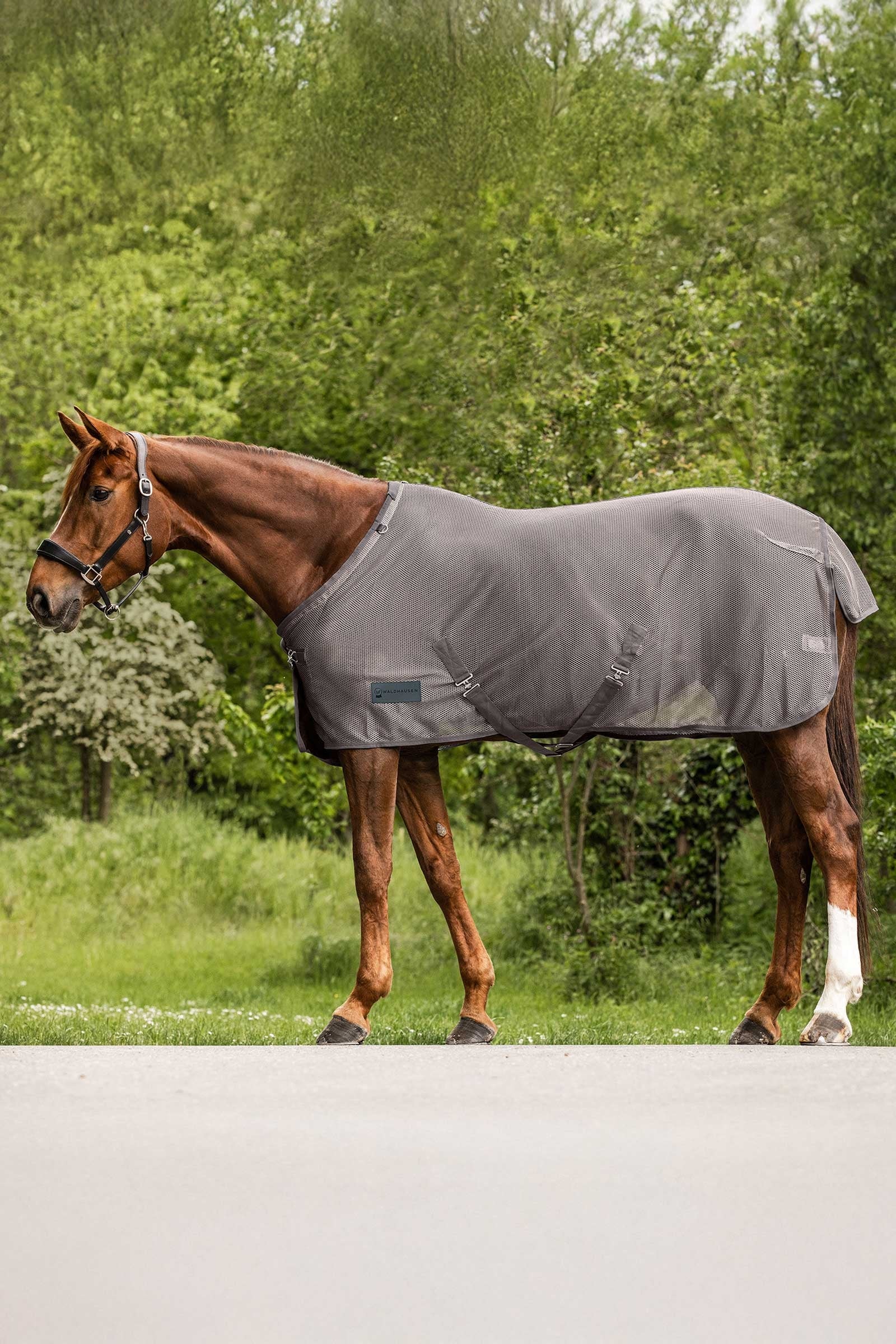 Waldhausen Comfort manta antimoscas Mantas Caballo