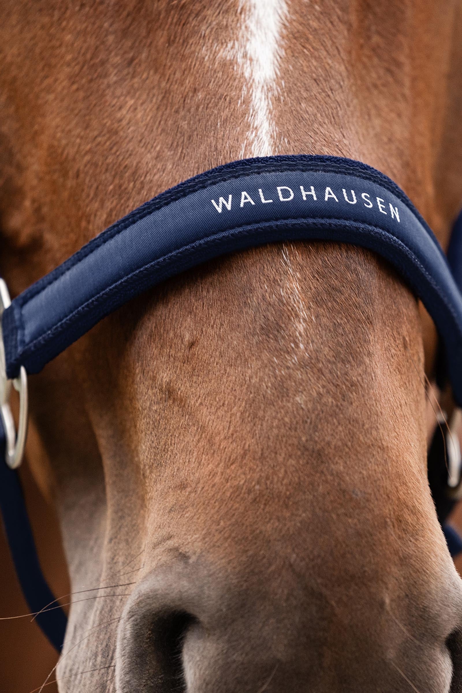 Waldhausen Athletic Halter Halters & Leads