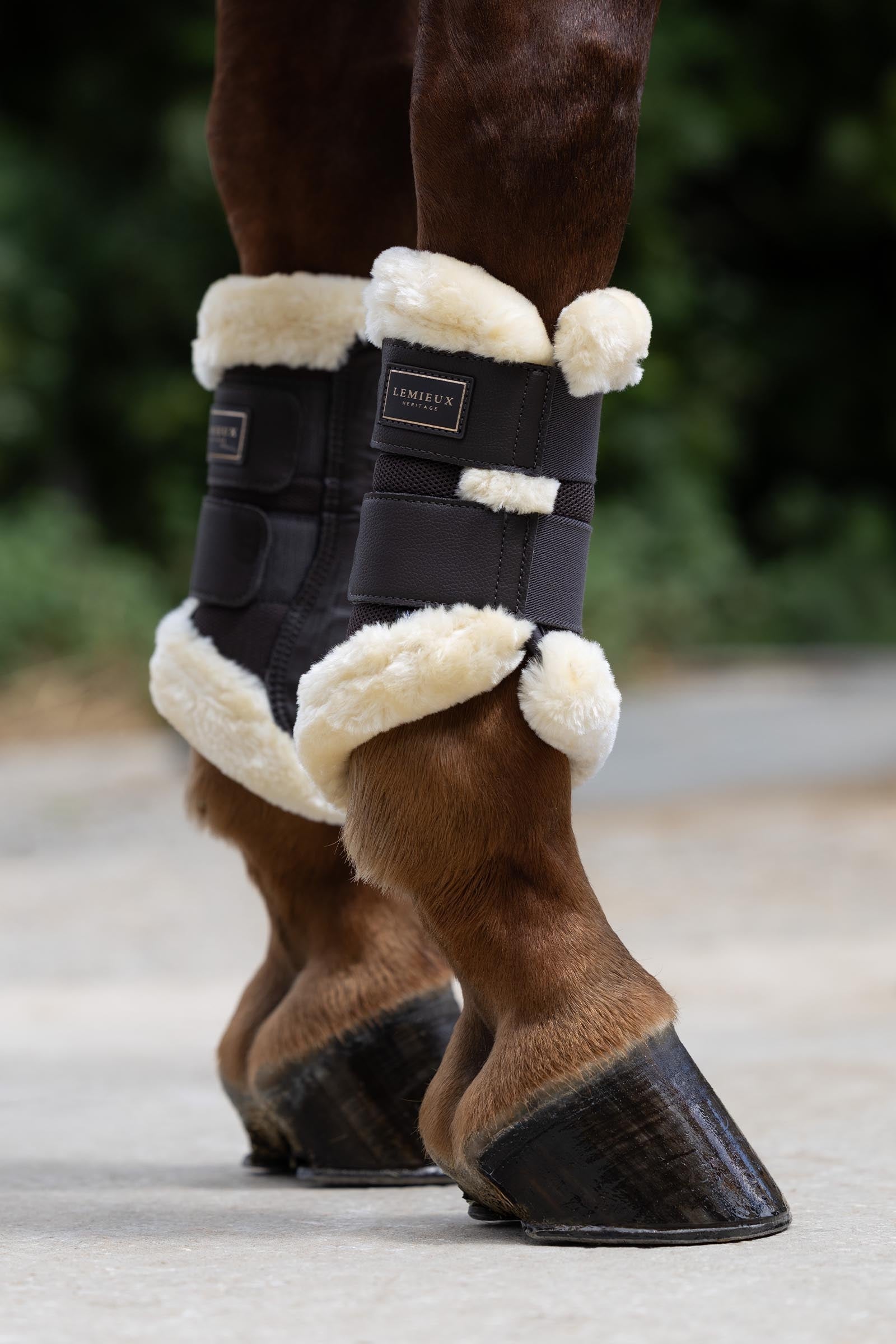 LeMieux Heritage Fleece Edged Brushing Boot Leg & Hoof Protection