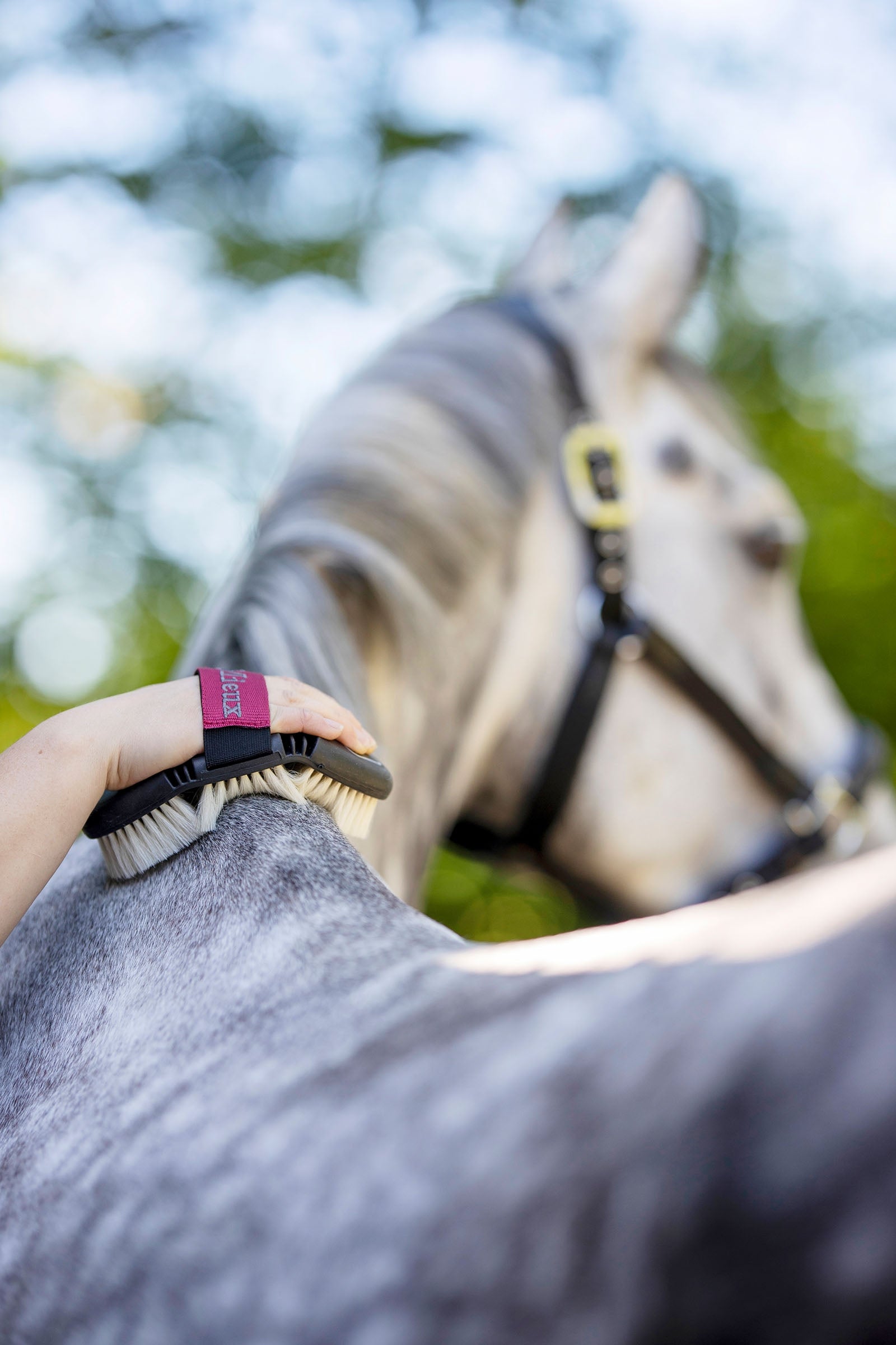 LeMieux Flexi Scrubbing Brush Horse Grooming Tools