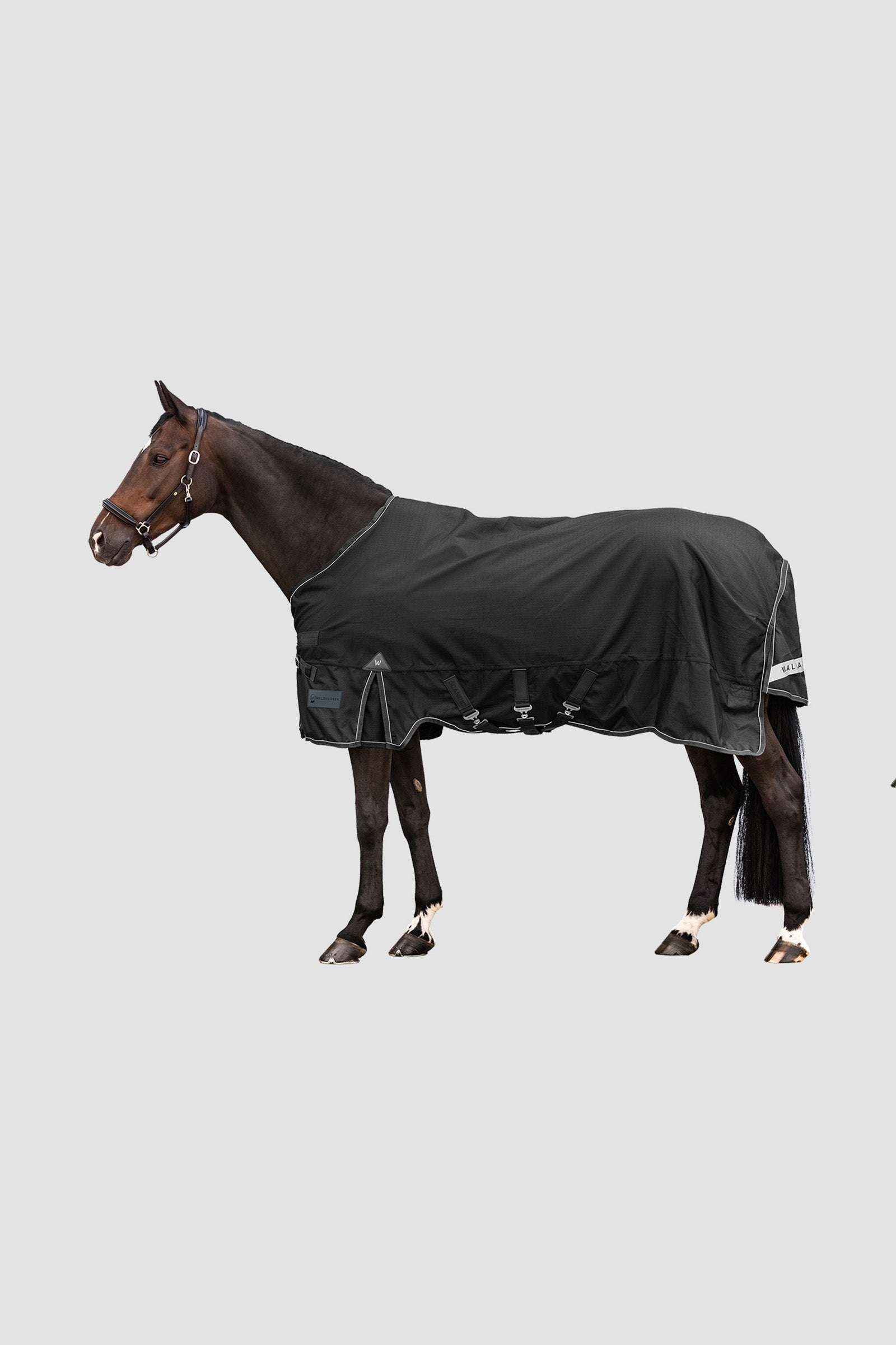 Waldhausen Outdoor Rug Scandic Multi-Layer 250 g/100 g Mantas Caballo