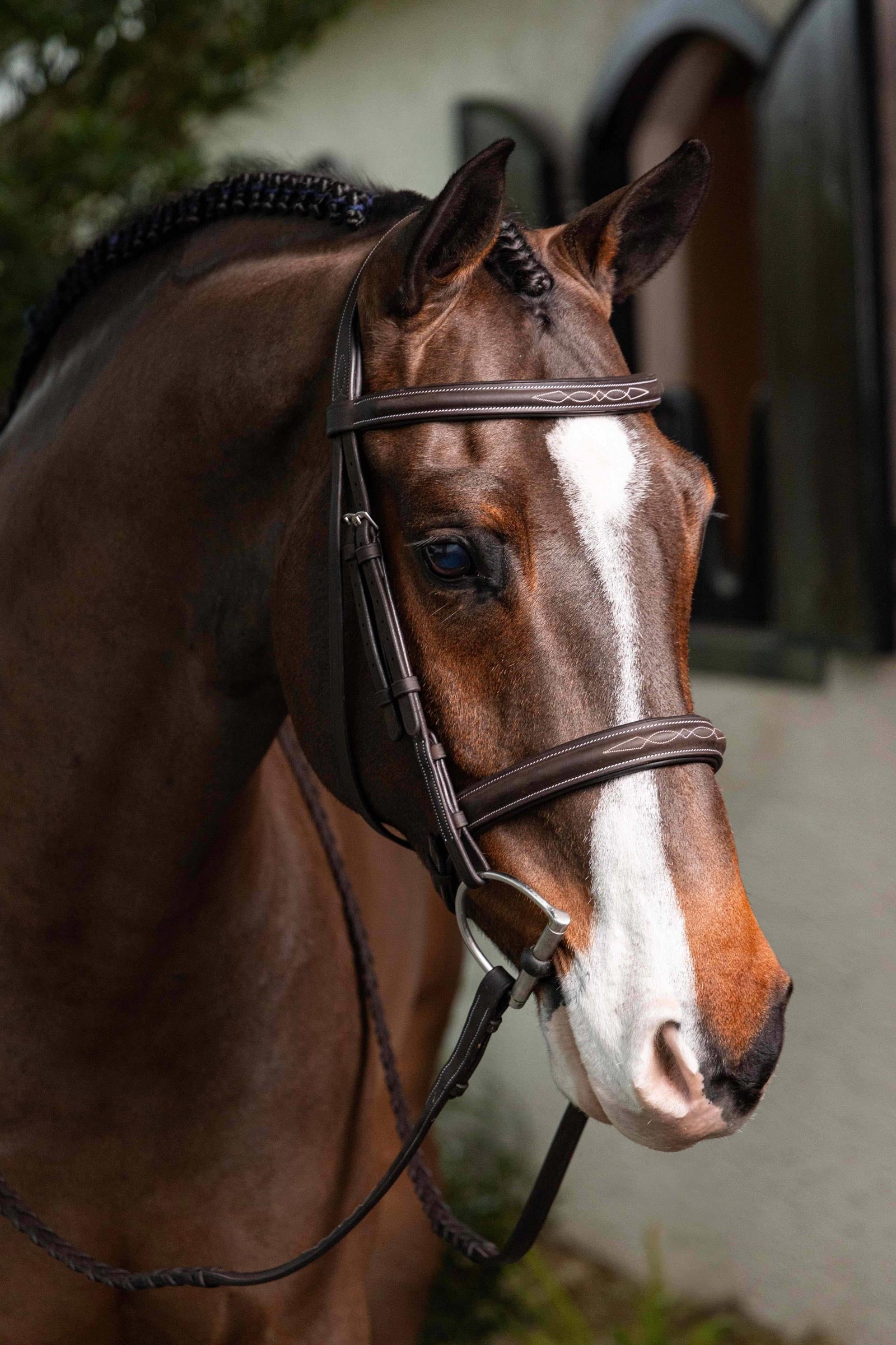 LeMieux Hunter Stitched Bridle Bridles & Reins