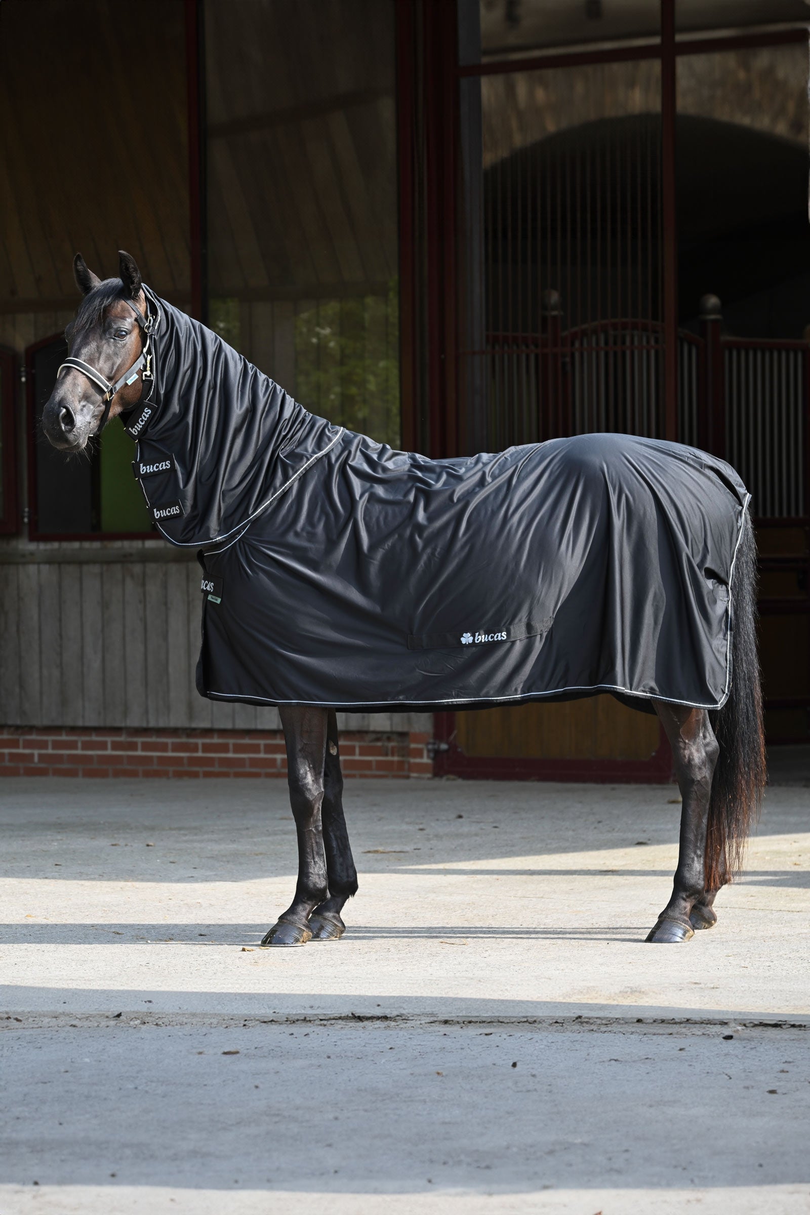 Bucas Power Cooler + Neck Set Horse Rugs