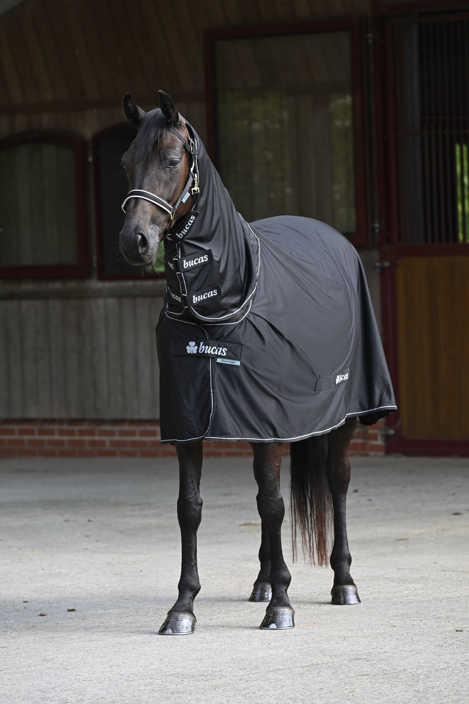 Bucas Power Cooler + Neck Set Horse Rugs