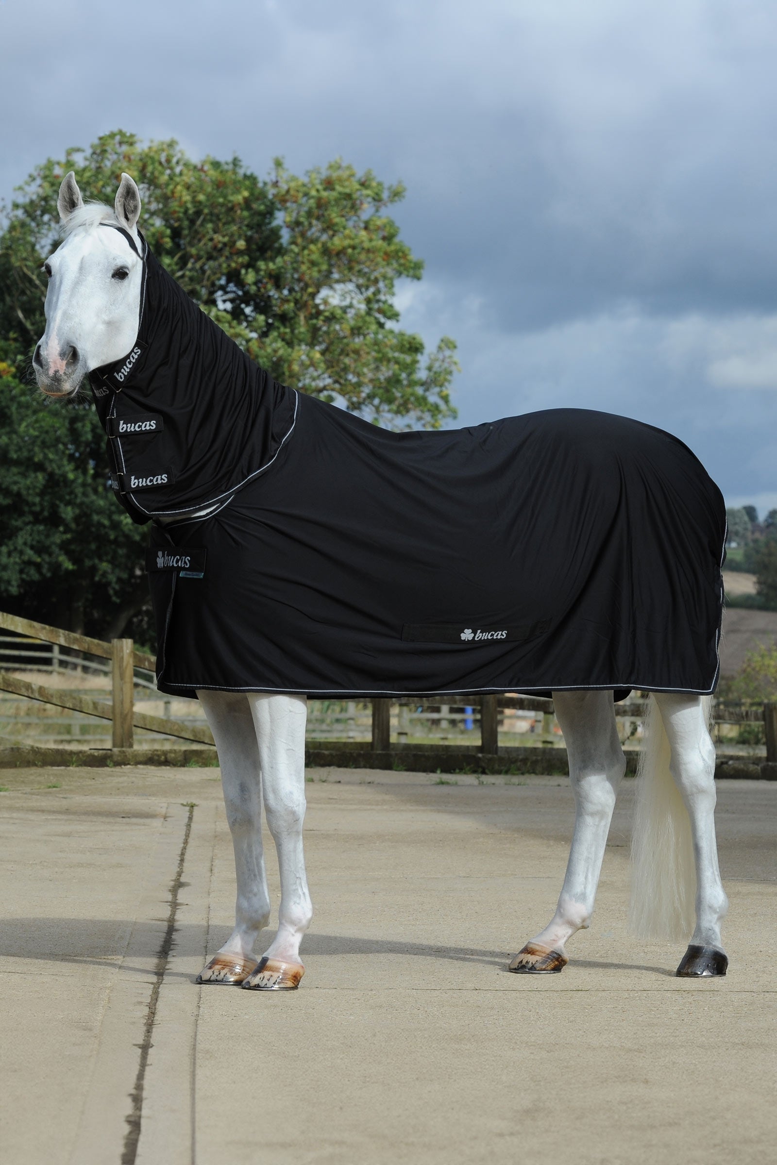 Bucas Power Cooler + Neck Set Horse Rugs