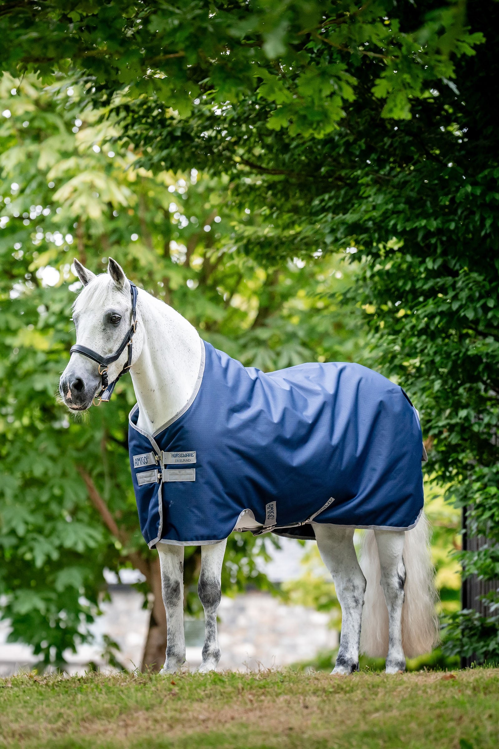 Horseware Amigo Ripstop 900D Turnout 0g Horse Rugs