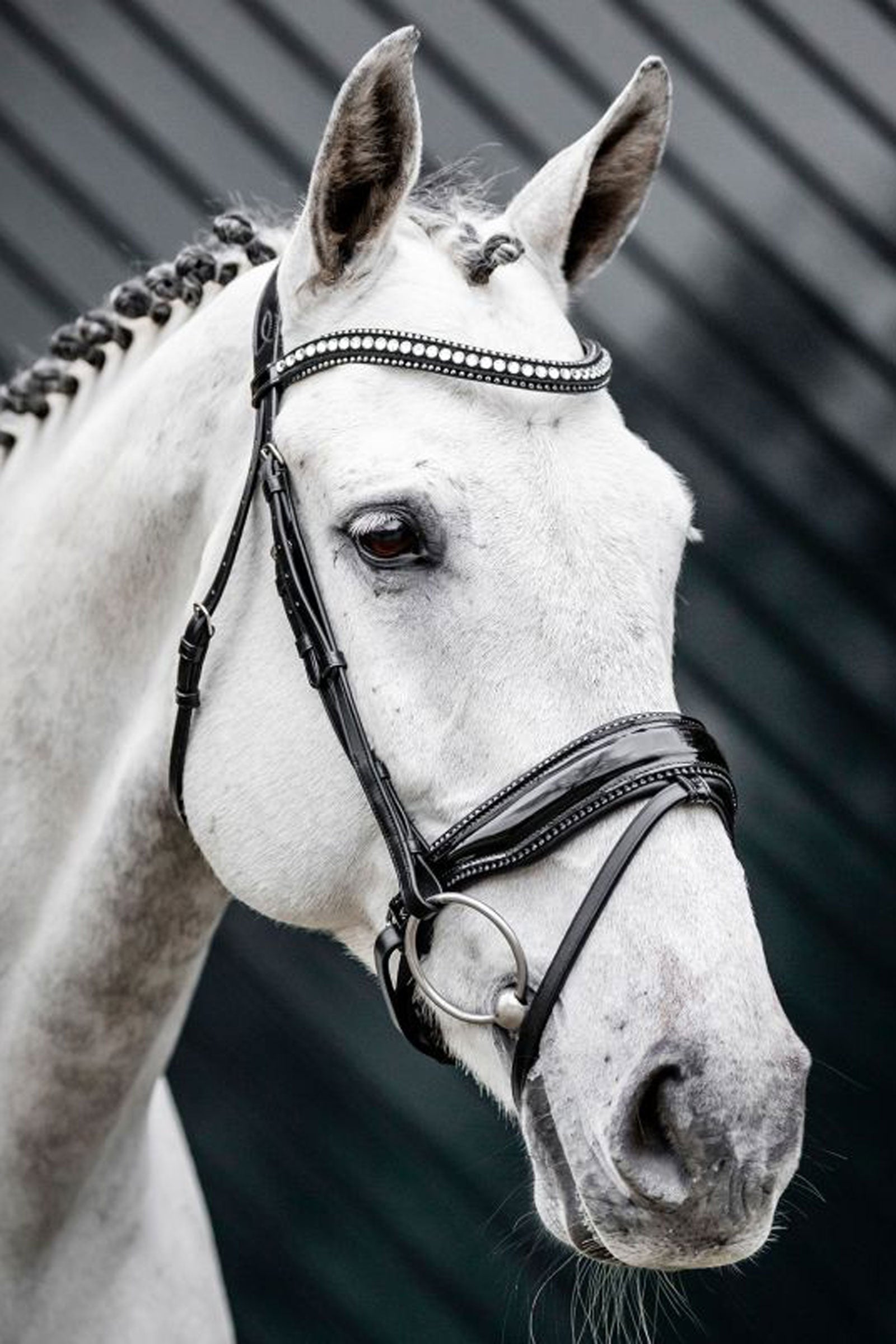 Horseware Diamante brida con muserola combinada Cabezadas de montar & Riendas