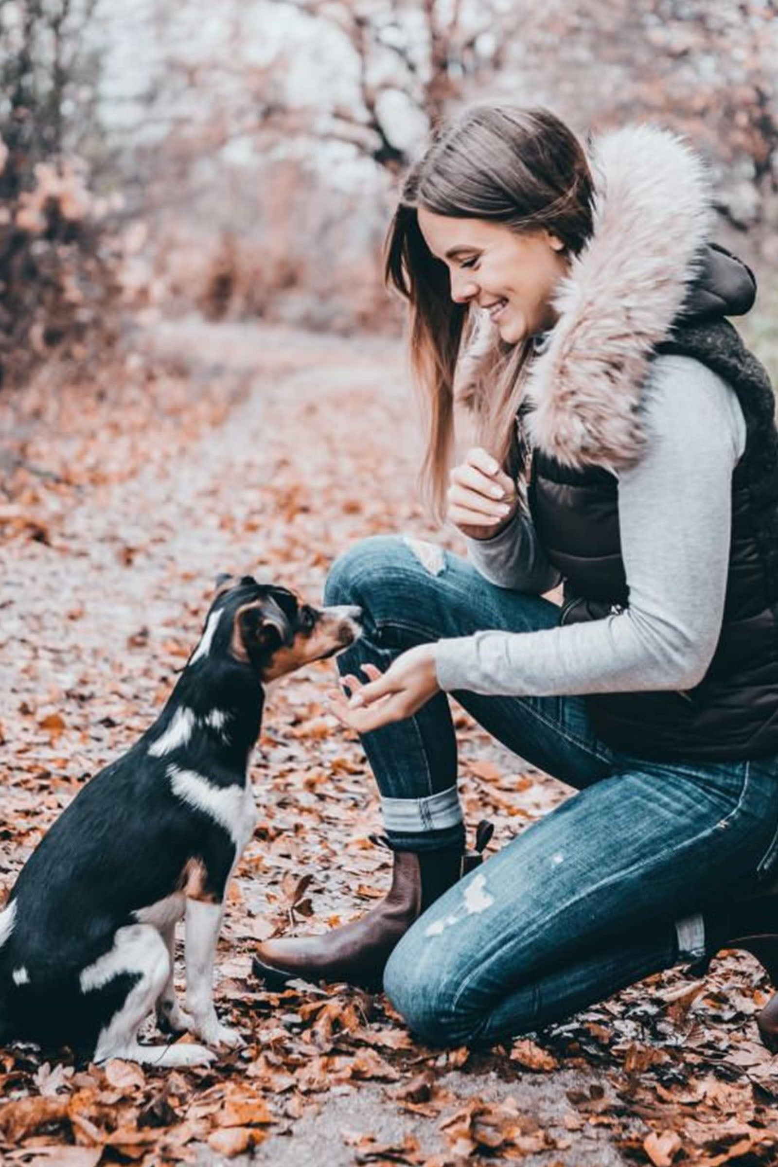 Suedwind Footwear 1888 Chelsea Jodhpur Boots Riding Boots & Riding Shoes