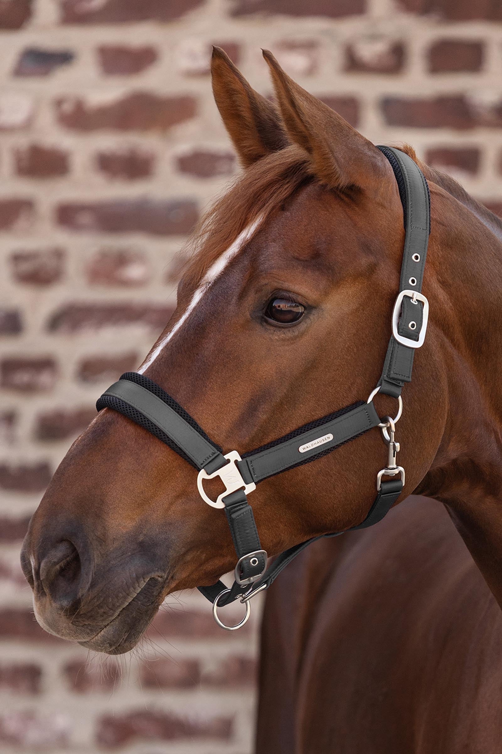 Waldhausen Breath Mesh Halter Halters & Leads