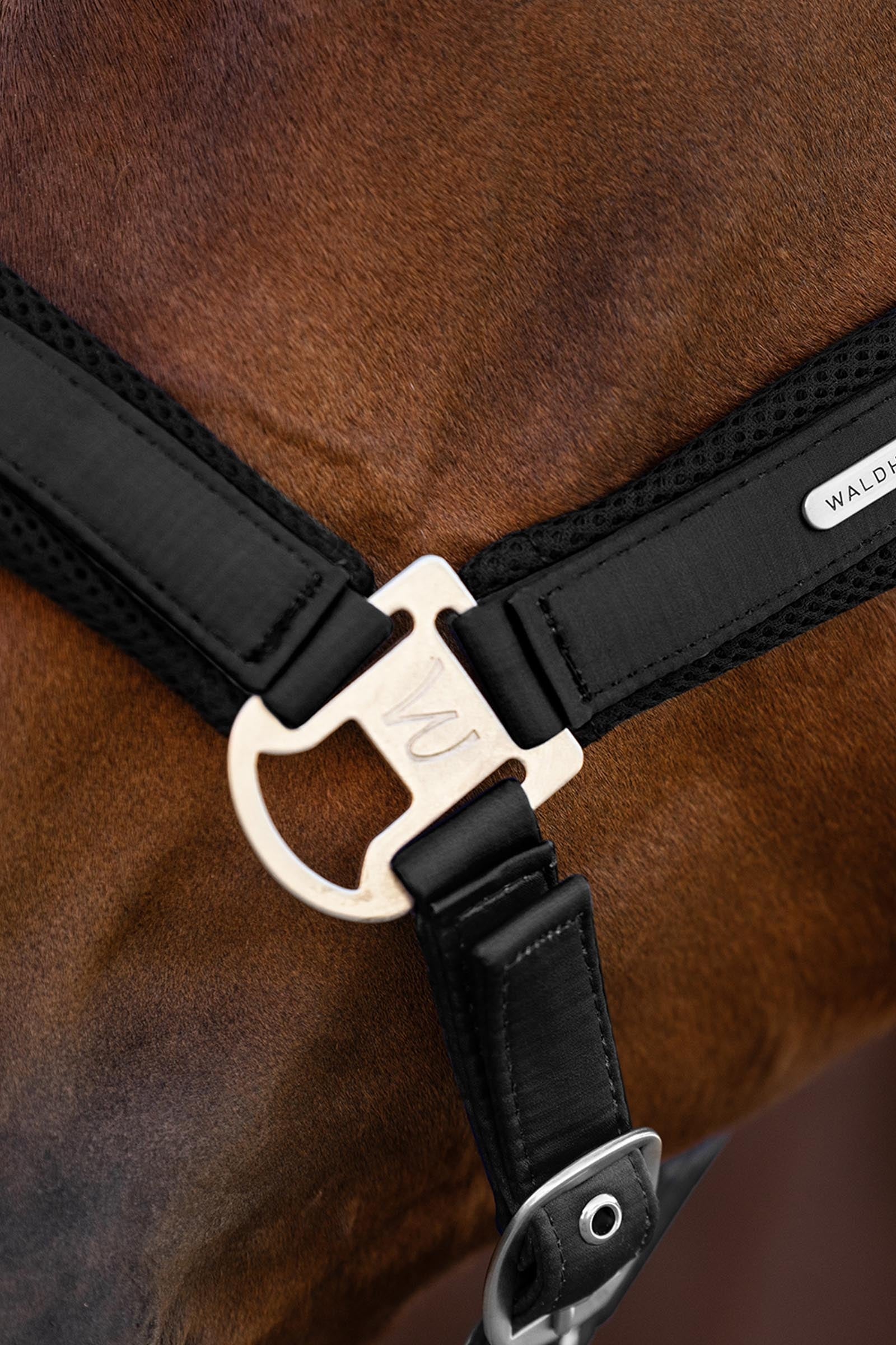 Waldhausen Breath Mesh Halter Halters & Leads