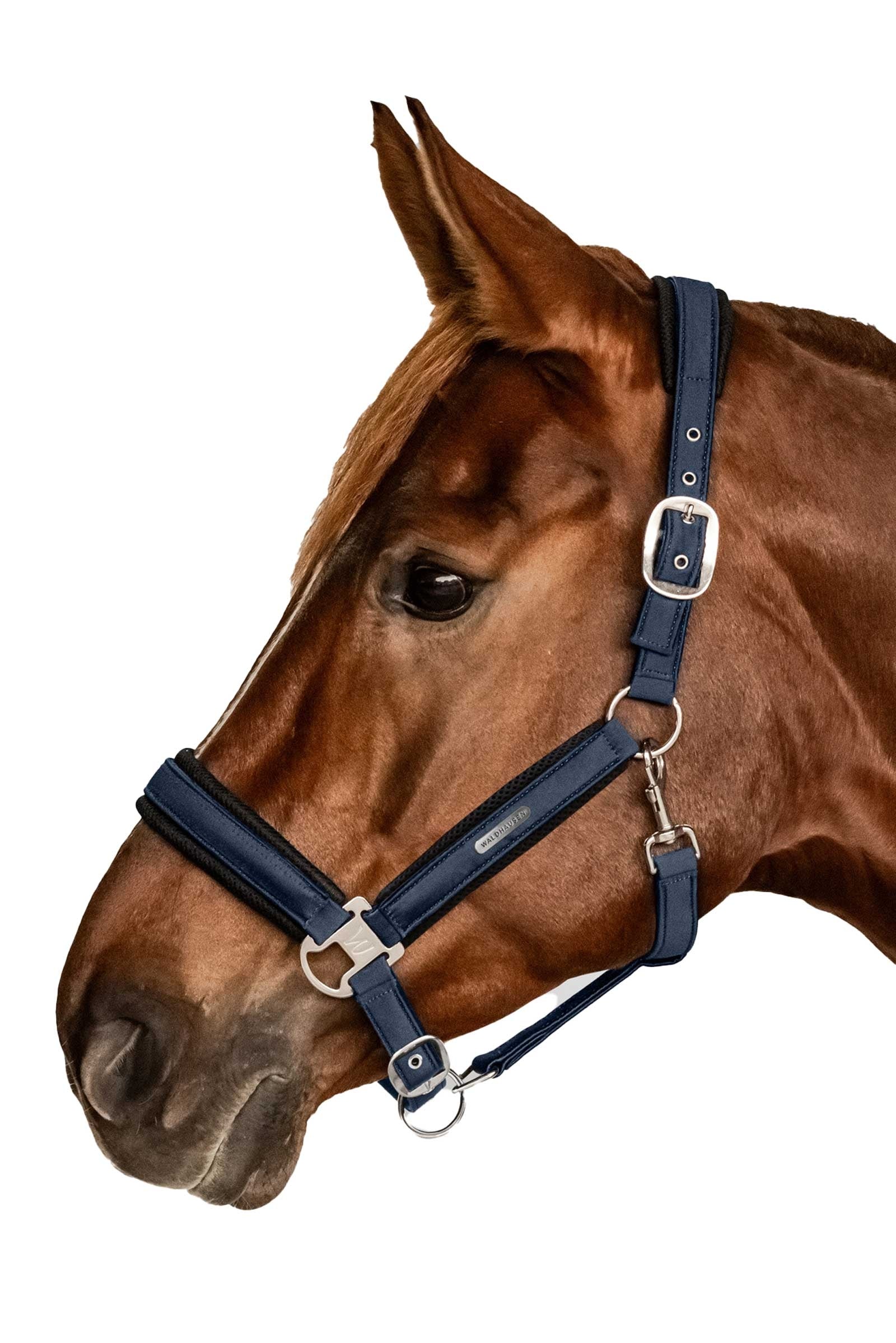 Waldhausen Breath Mesh Halter Halters & Leads