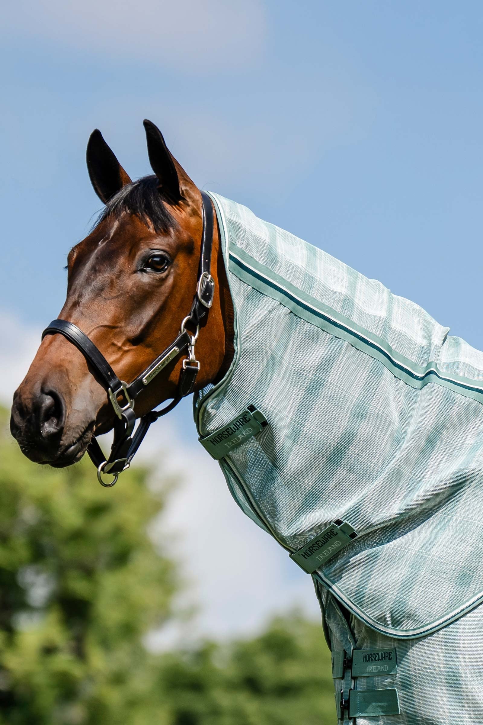 Horseware Newmarket cubrecuello para manta antimoscas con protección UV Mantas Caballo
