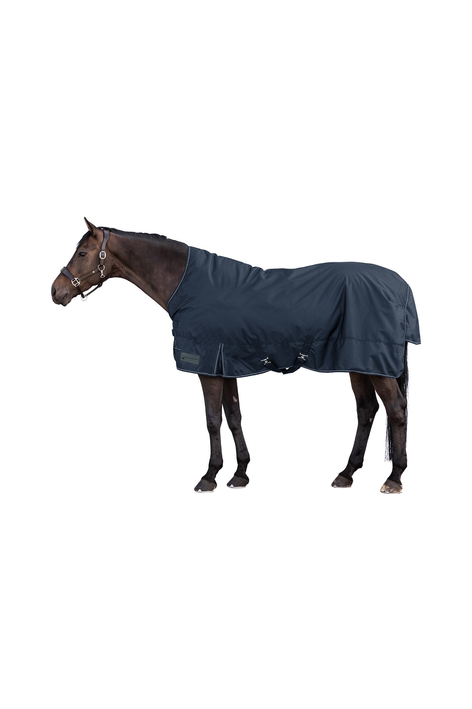 Waldhausen NORDIC 600D Manta de Exterior con Cuello Alto, 100 g Mantas Caballo