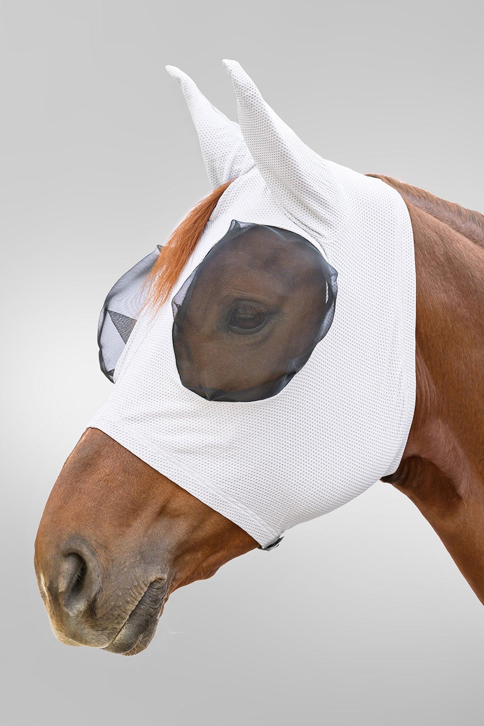 Waldhausen Breath Puck máscara antimoscas con protección UV Protección Antimoscas para Caballos