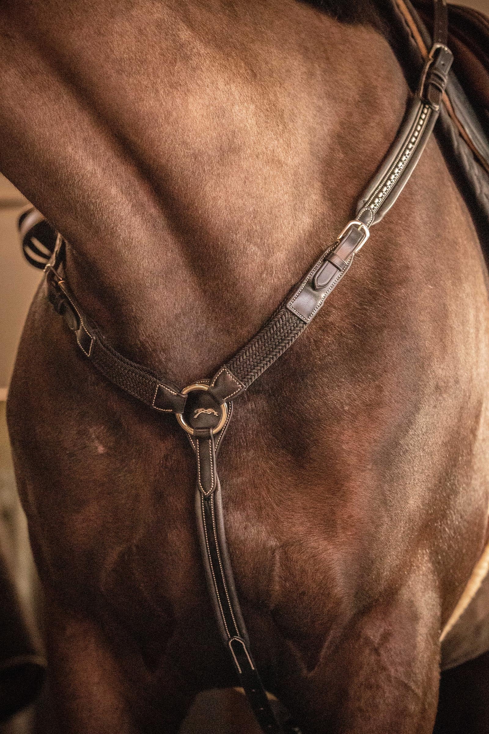 PENELOPE Martin Collar Bridles & Reins