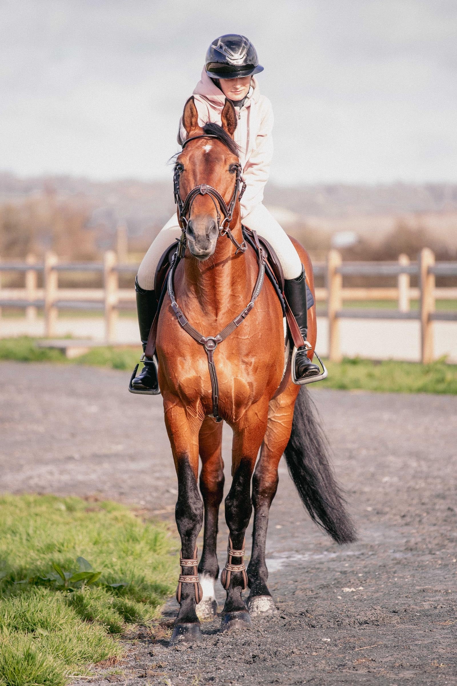 PENELOPE Martin Collar Bridles & Reins