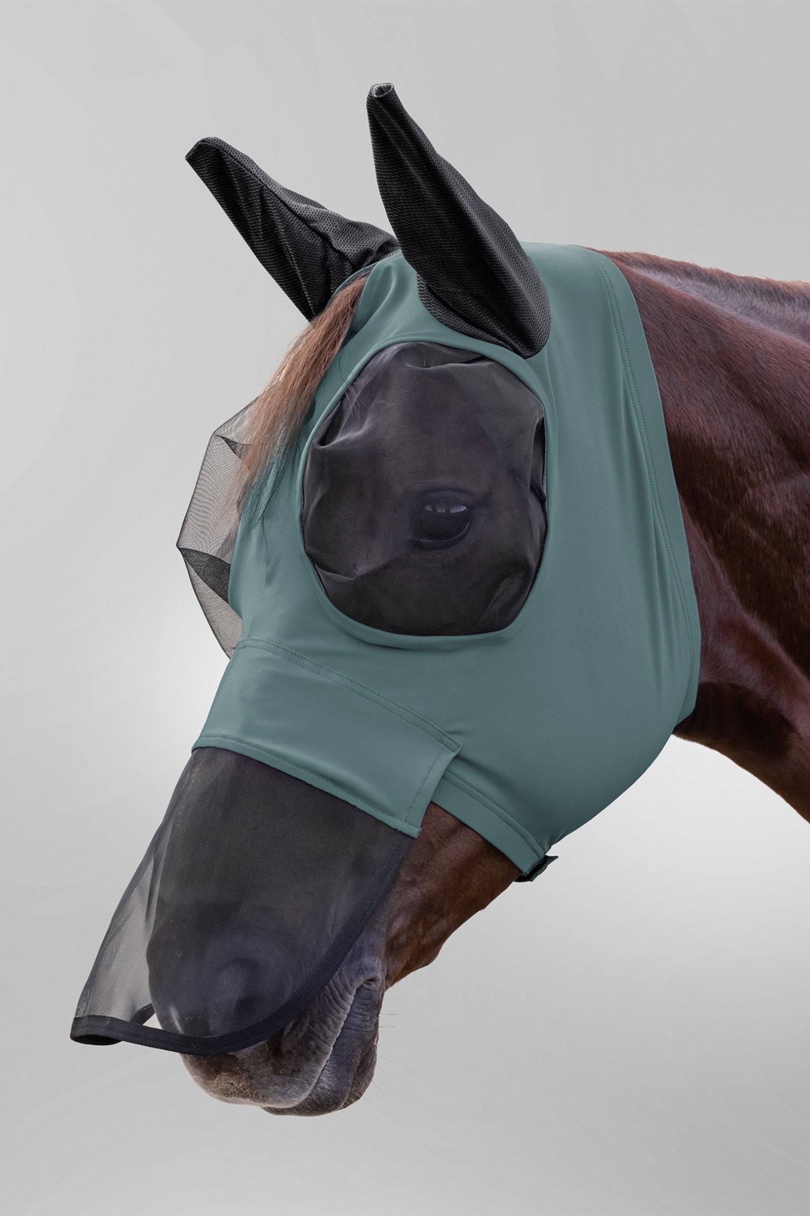 Waldhausen Puck máscara antimoscas con protección nasal y protección UV Protección Antimoscas para Caballos