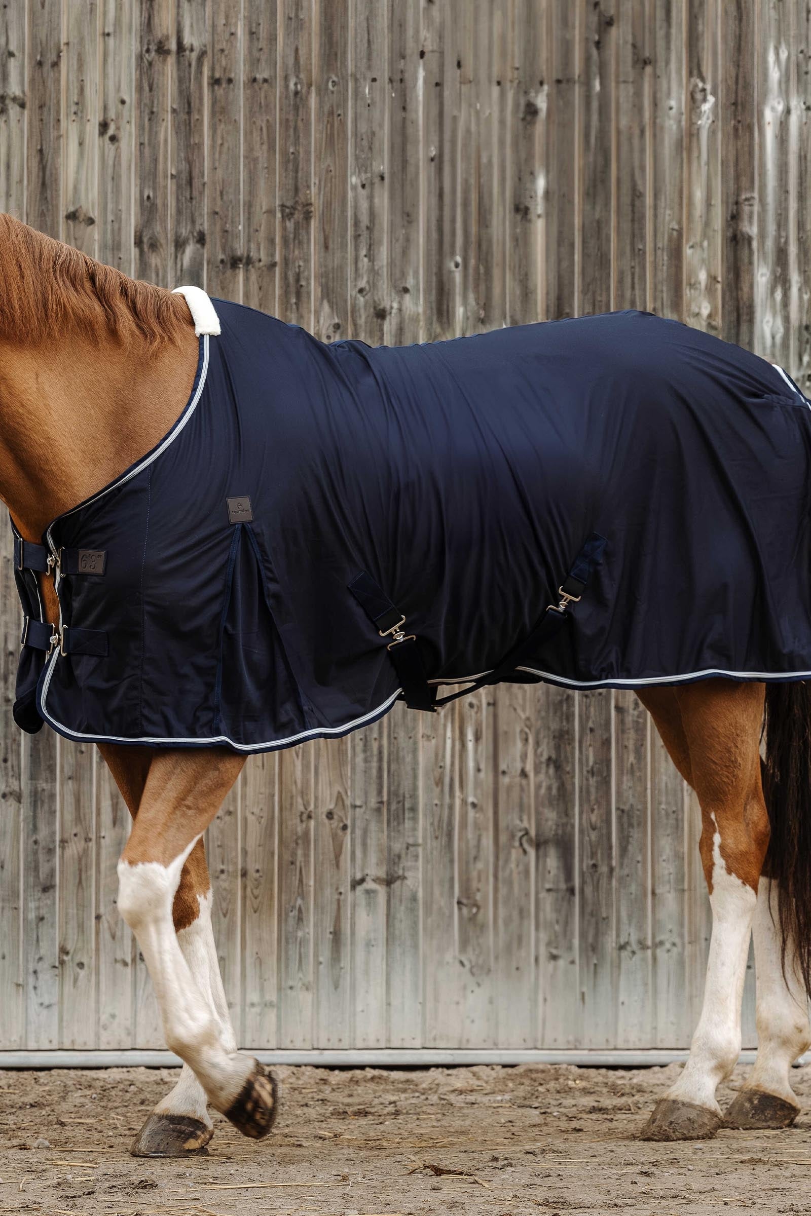 Equi Theme EQUITHÈME Micro Mesh Sheet Horse Rugs