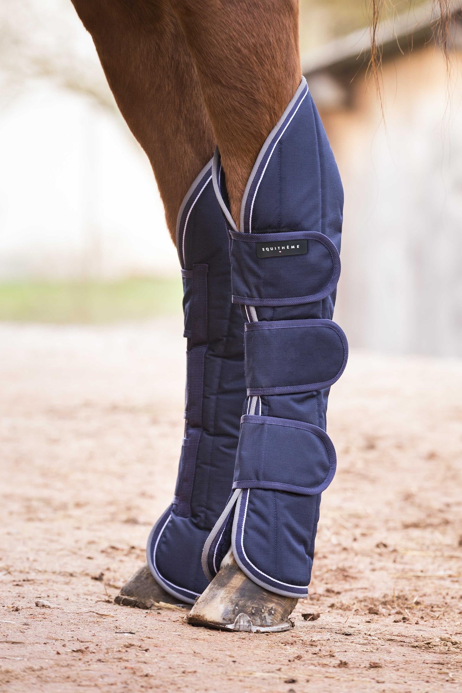 Equi Theme EQUITHÈME TYREX 600D protectores de transporte impermeables Leg & Hoof Protection