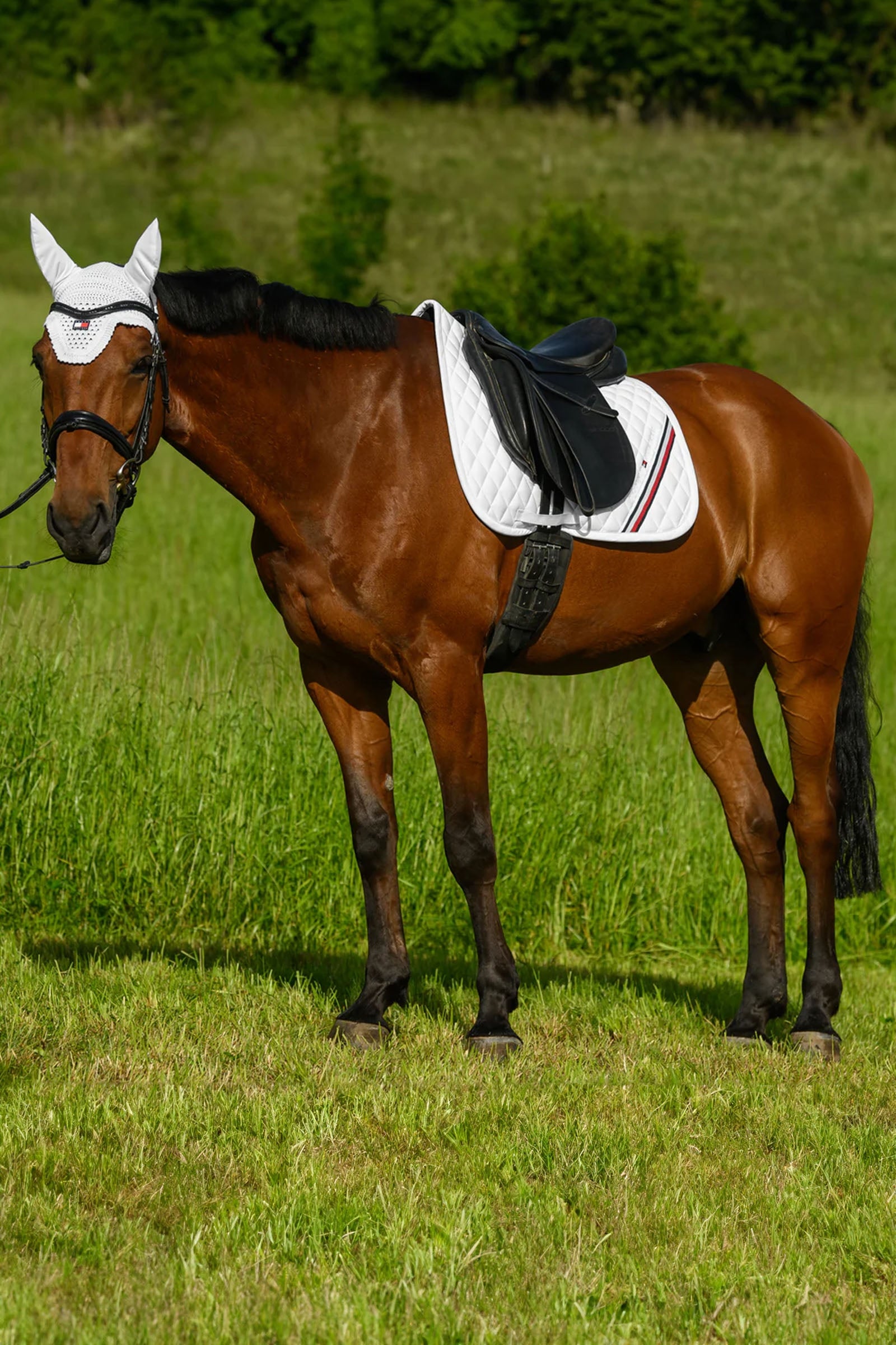 Tommy Hilfiger Equestrian Stanford Dressage Saddlepad Saddle Pads