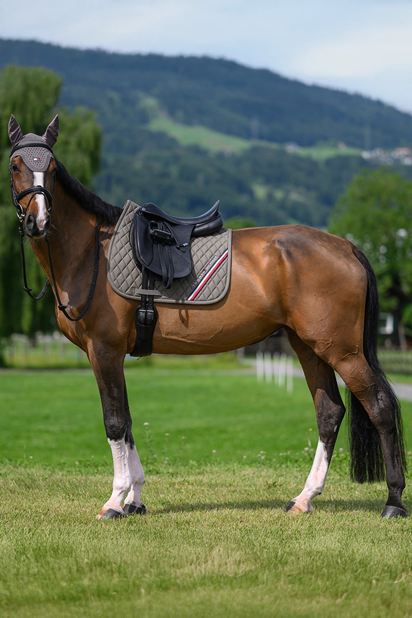 Tommy Hilfiger Equestrian Stanford Dressage Saddlepad Saddle Pads