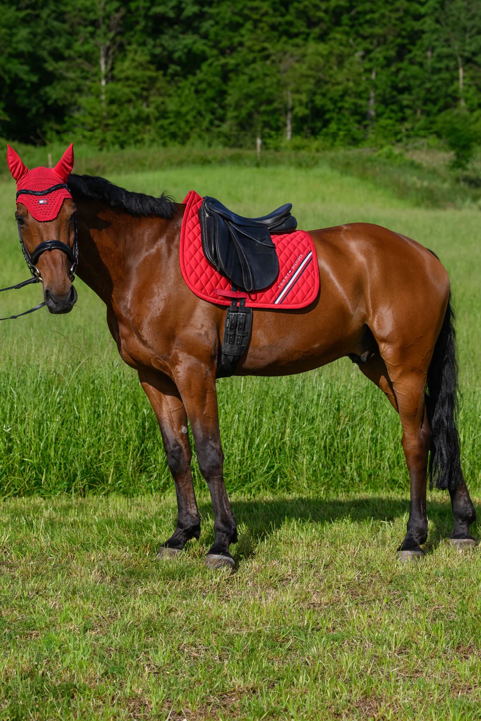 Tommy Hilfiger Equestrian Stanford Dressage Saddlepad Saddle Pads