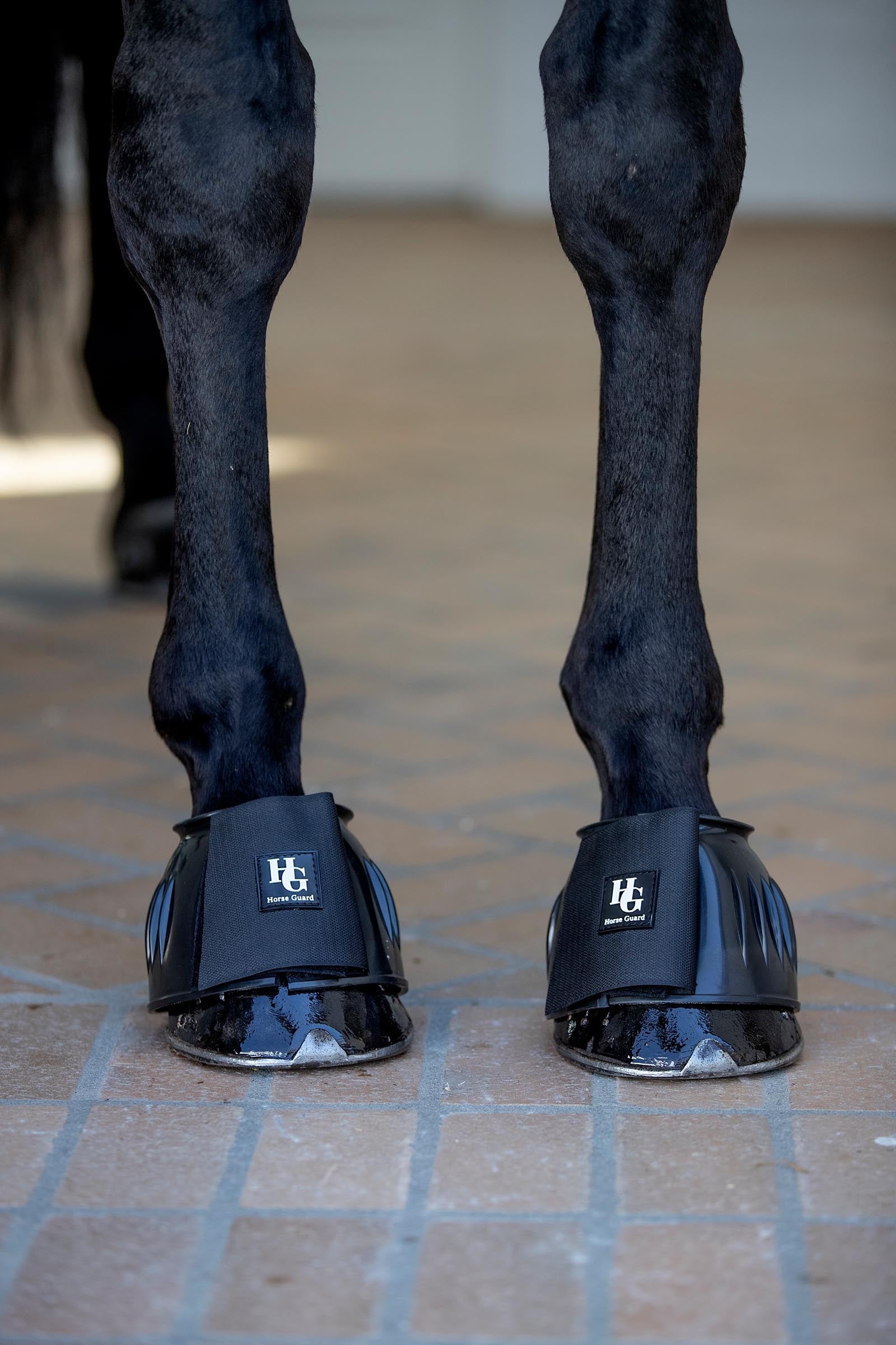 Horse Guard HorseGuard Tamsin Bell Boots Leg & Hoof Protection