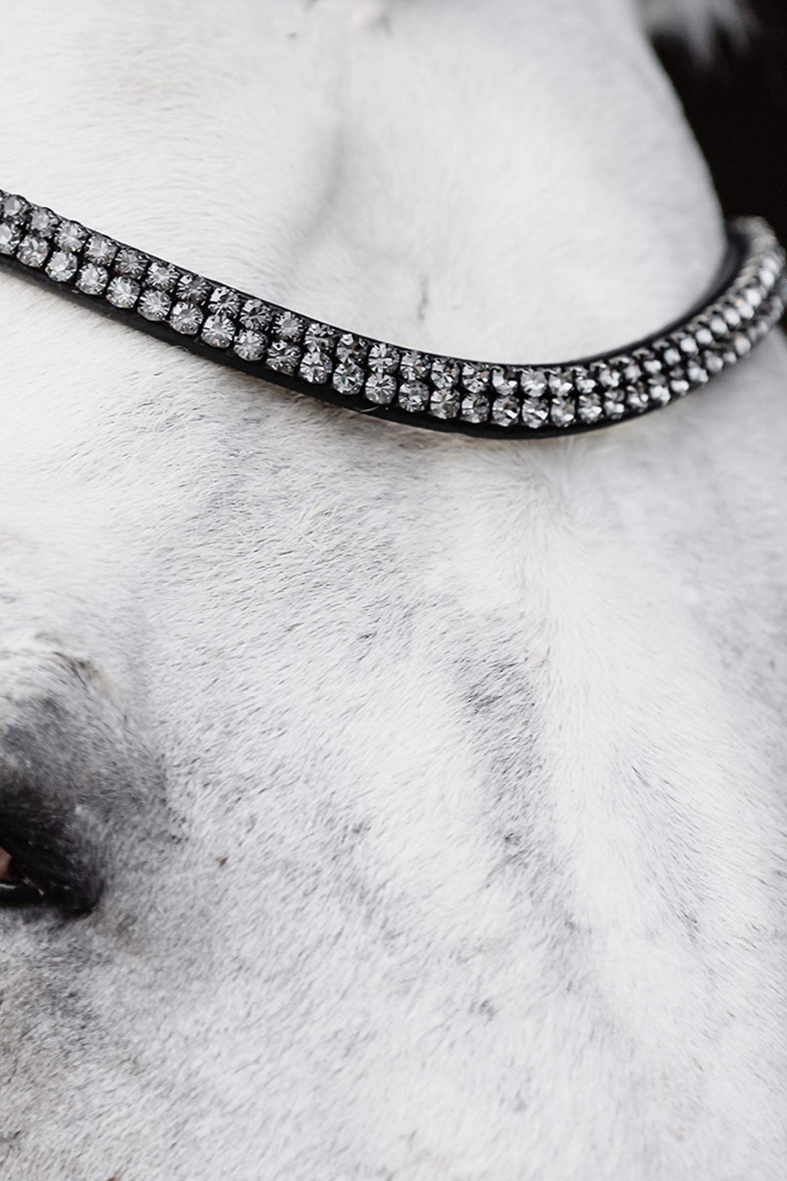 Schockemöhle Sports Satchmo Bridle - Isabell Werth Collection Bridles & Reins